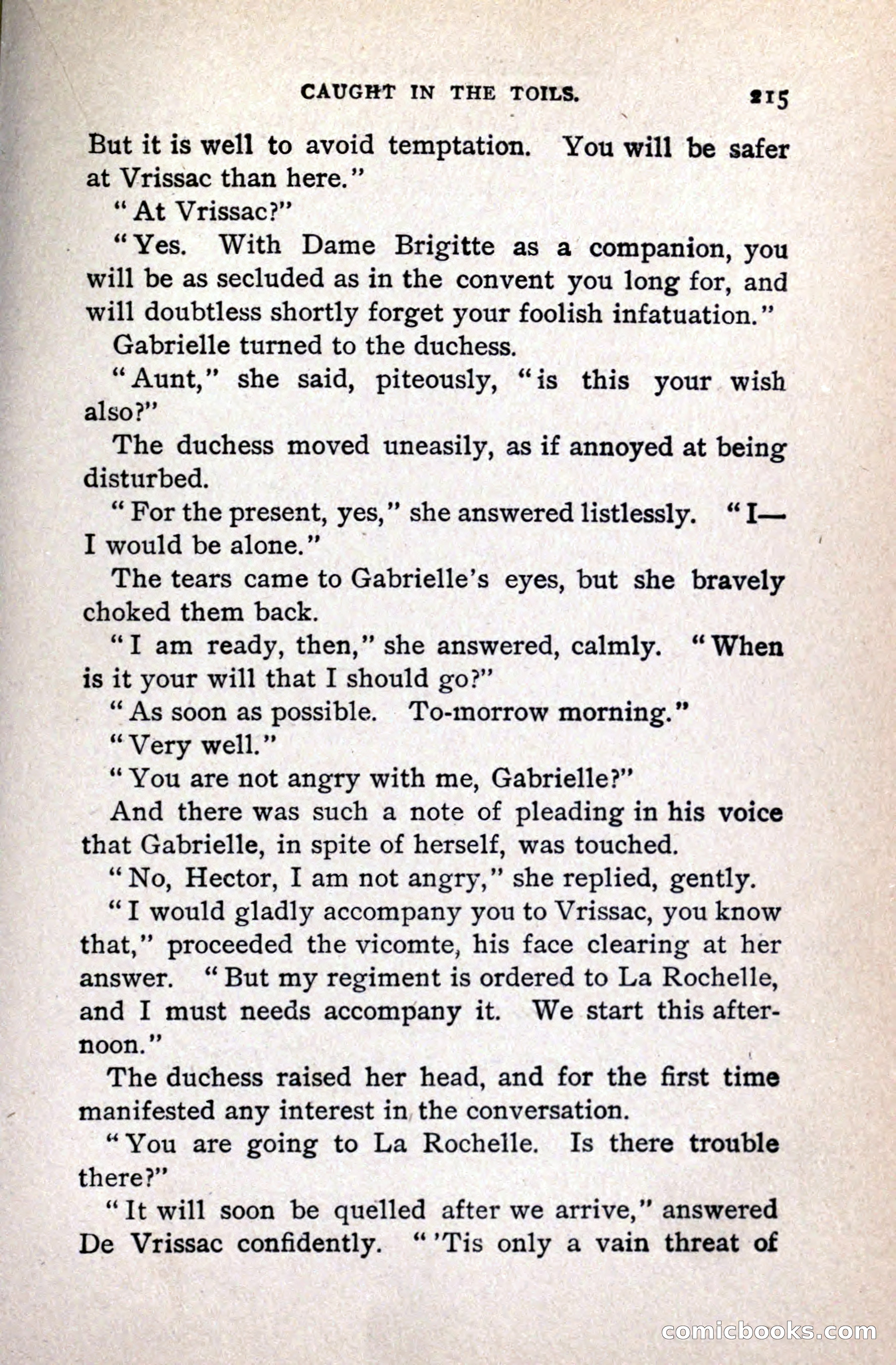 A Gentleman from Gascony: A Romance of the Huguenots — page 219 of 313