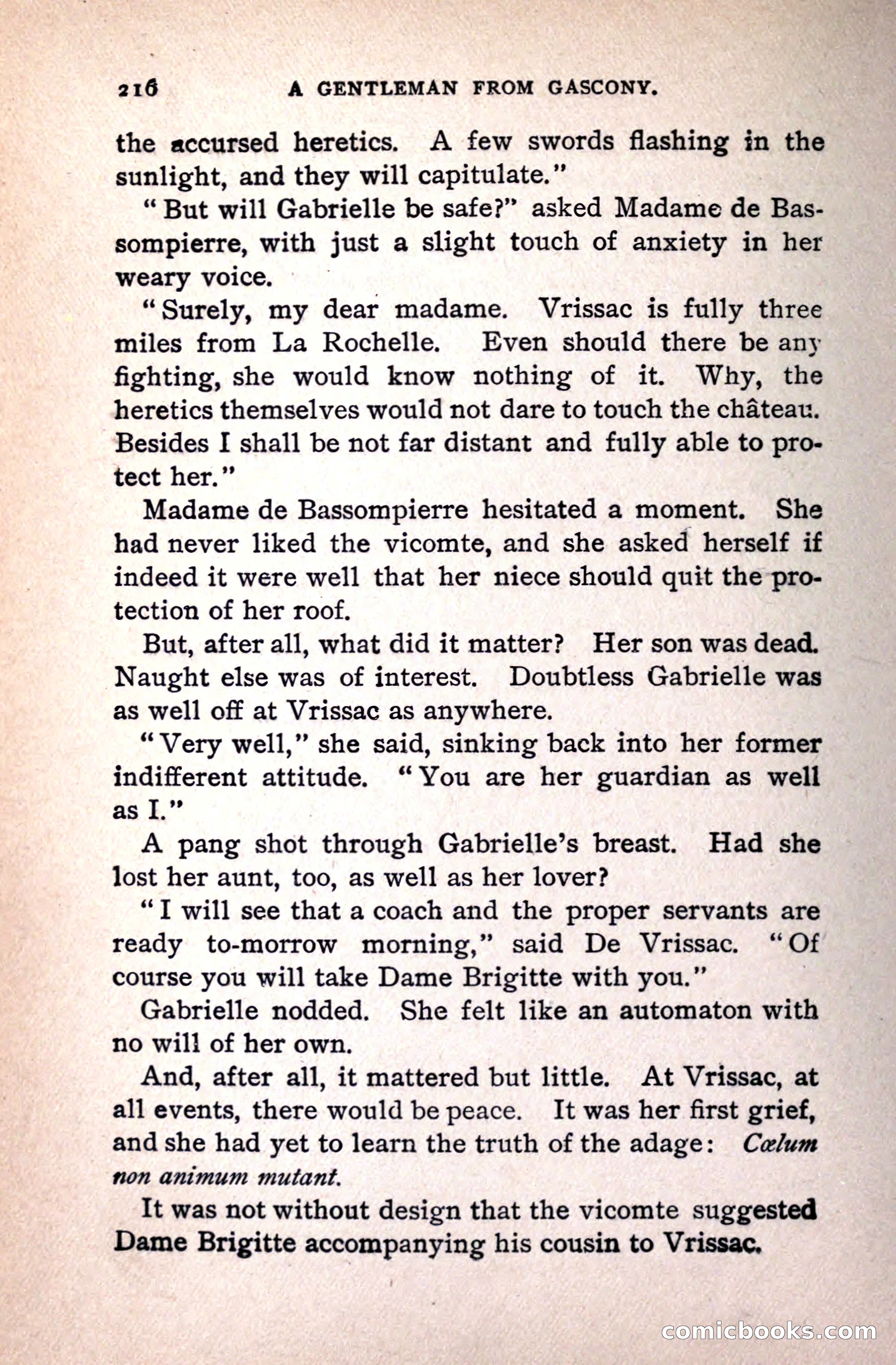 A Gentleman from Gascony: A Romance of the Huguenots — page 220 of 313