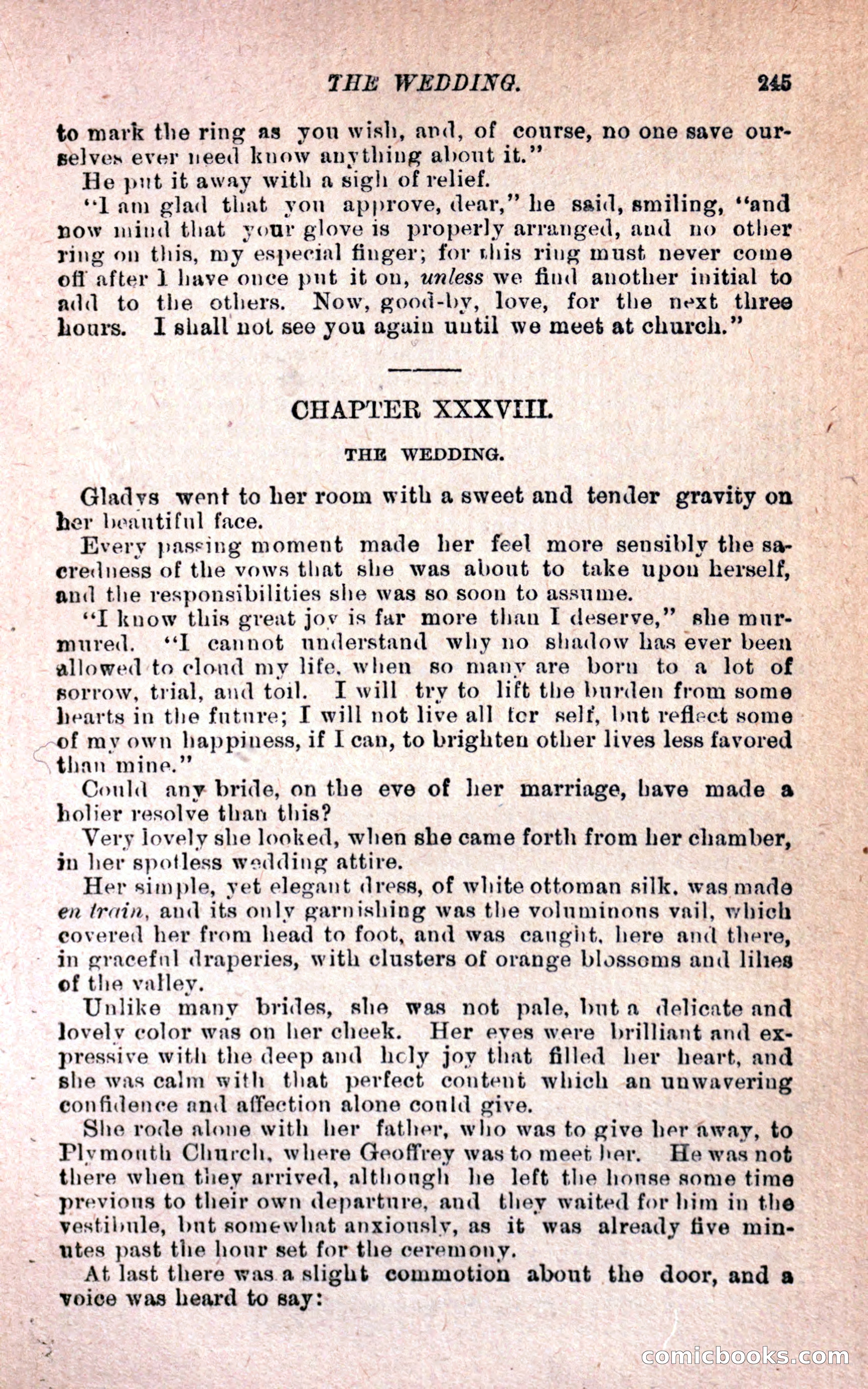 Geoffrey's Victory by Mrs Georgie Sheldon — page 249 of 324