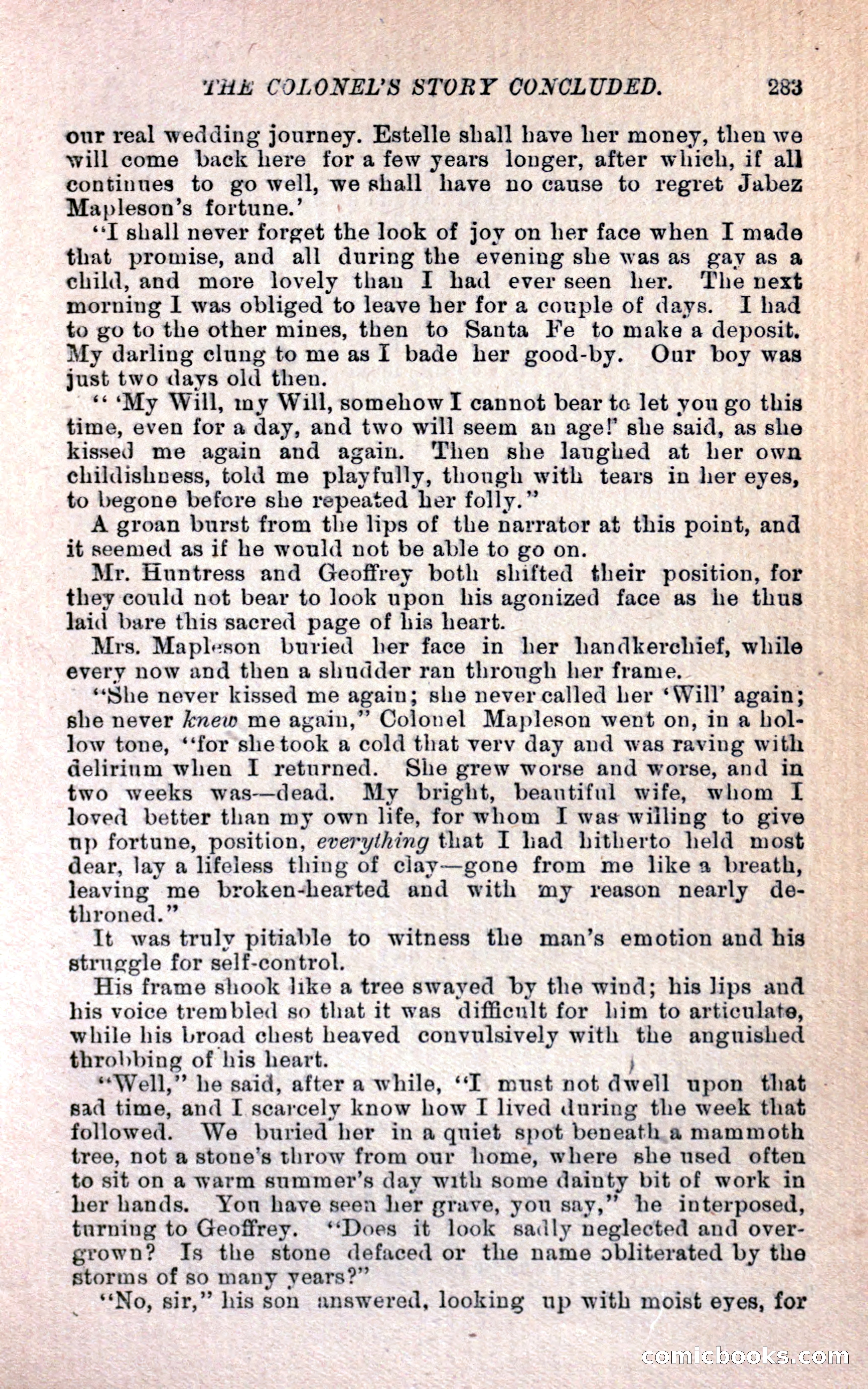Geoffrey's Victory by Mrs Georgie Sheldon — page 287 of 324