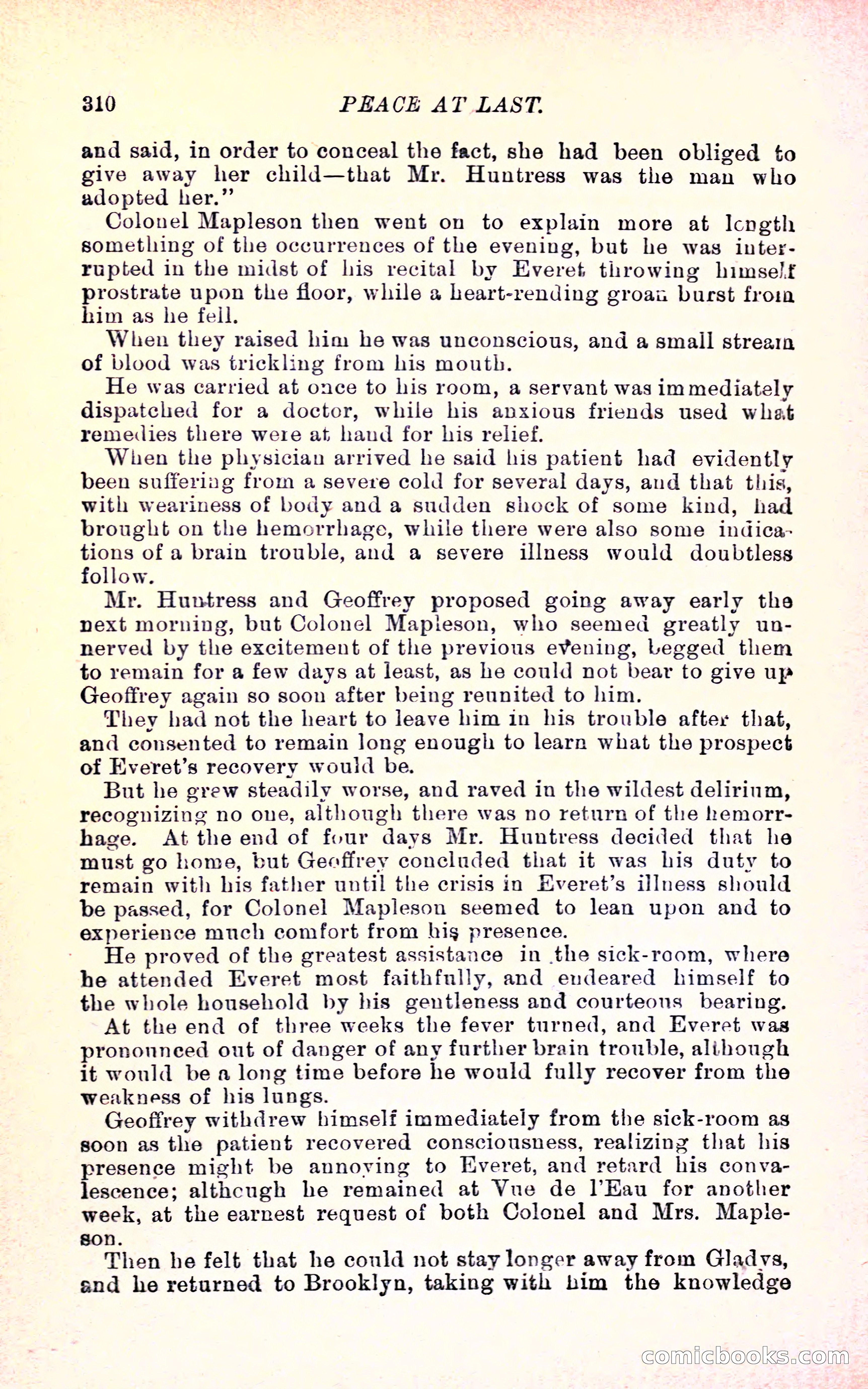 Geoffrey's Victory by Mrs Georgie Sheldon — page 314 of 324