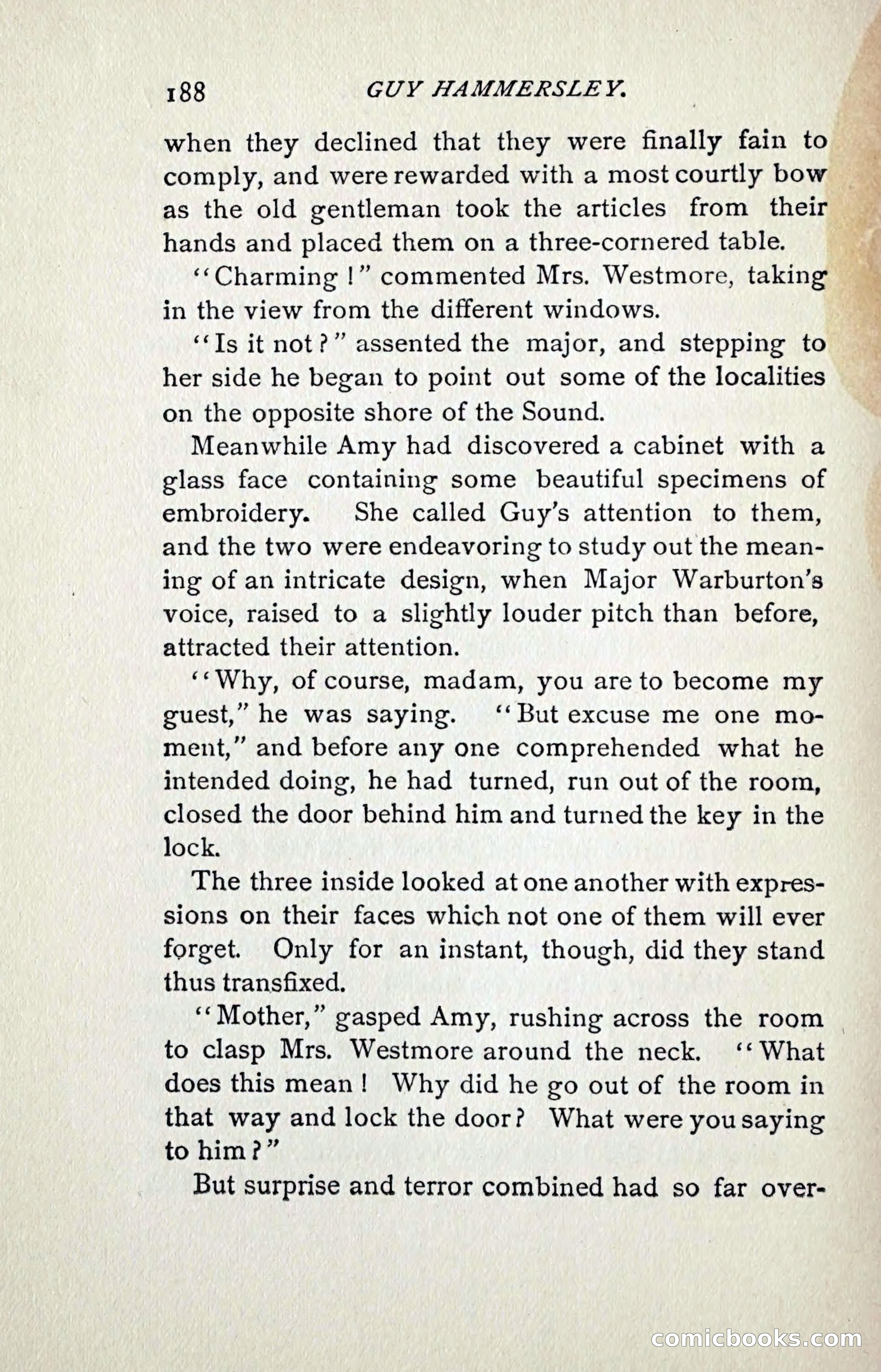 Guy Hammersley; or, Clearing his Name — page 197 of 263