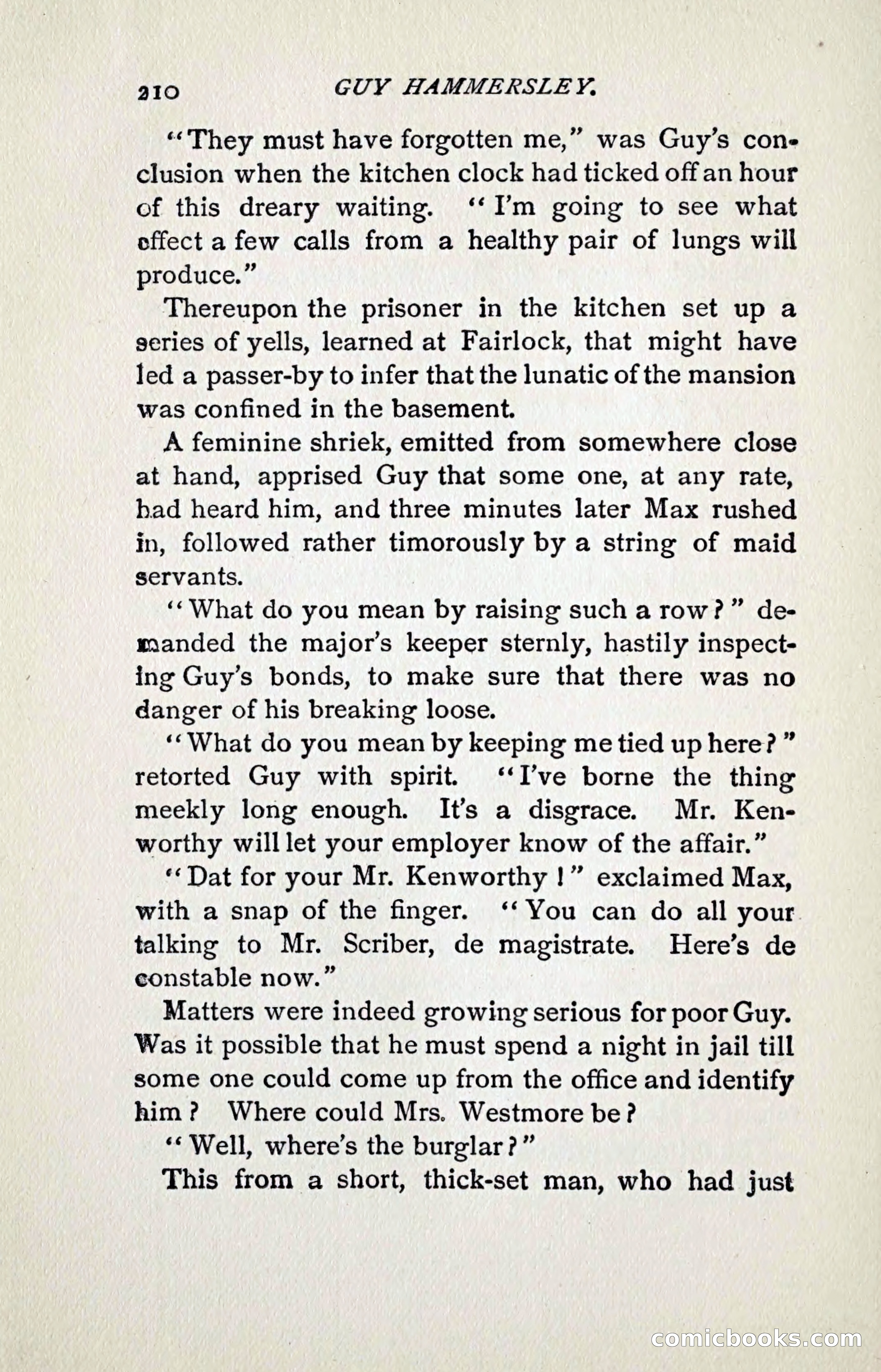 Guy Hammersley; or, Clearing his Name — page 219 of 263