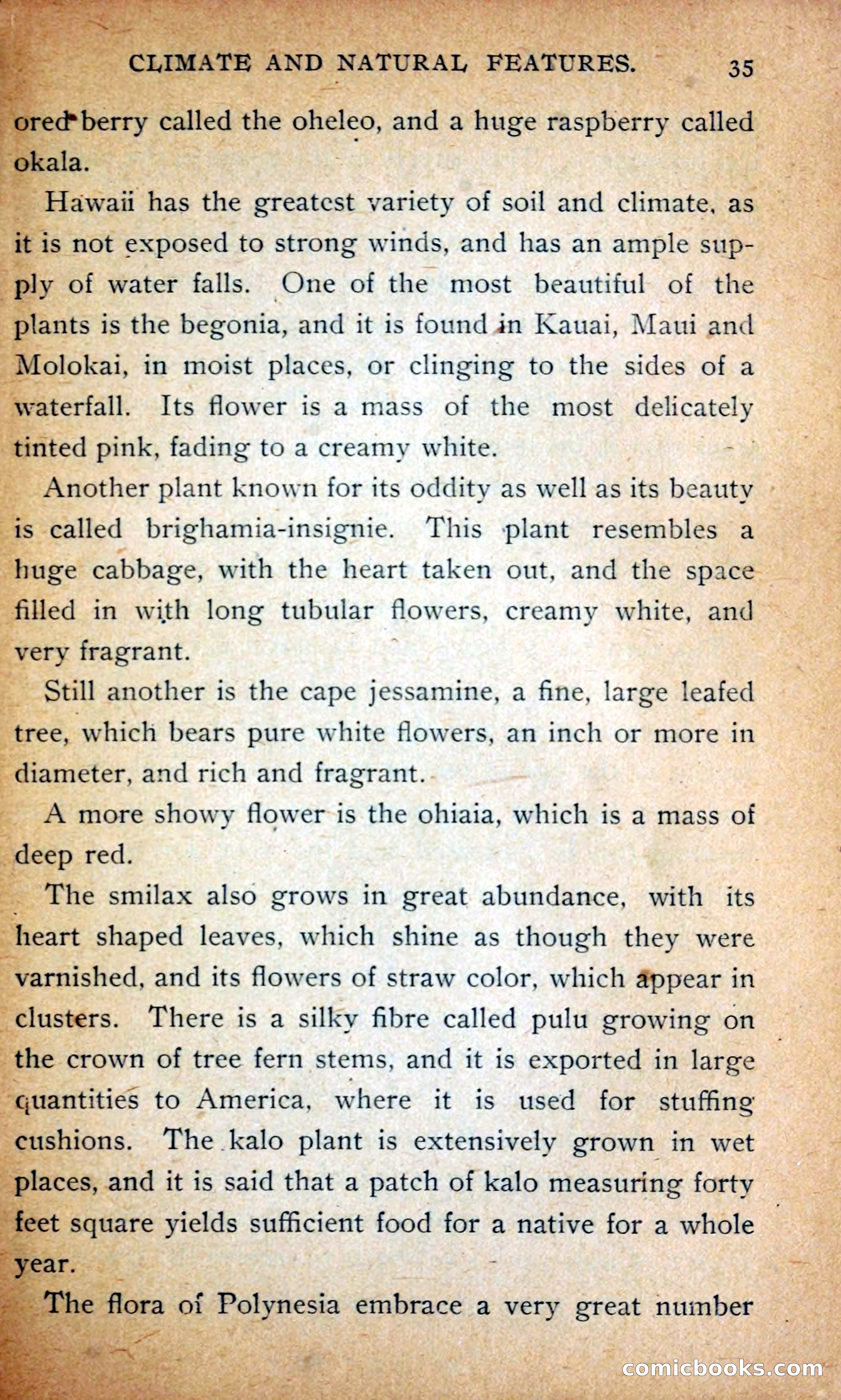 Hawaii — page 44 of 208