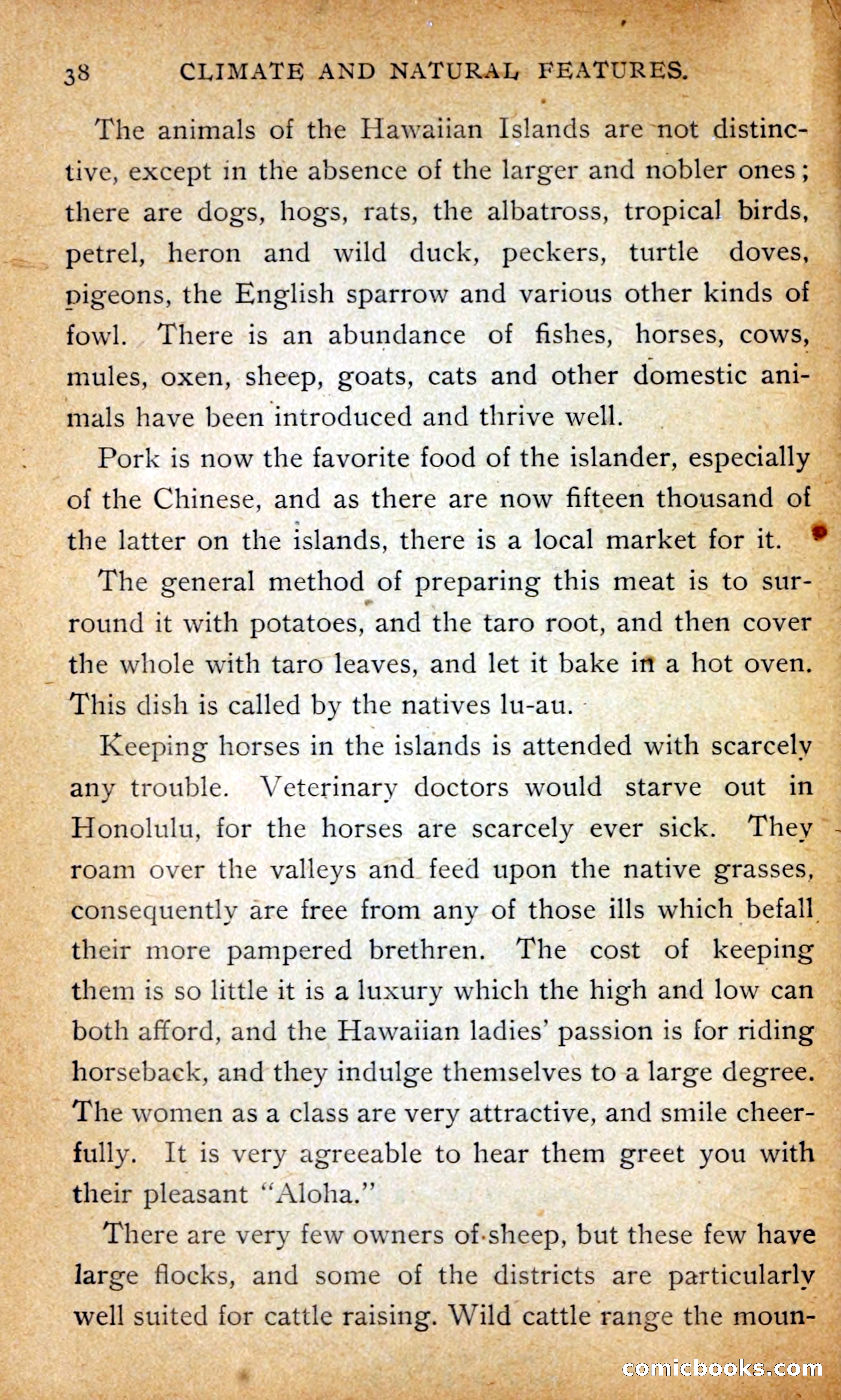 Hawaii — page 47 of 208