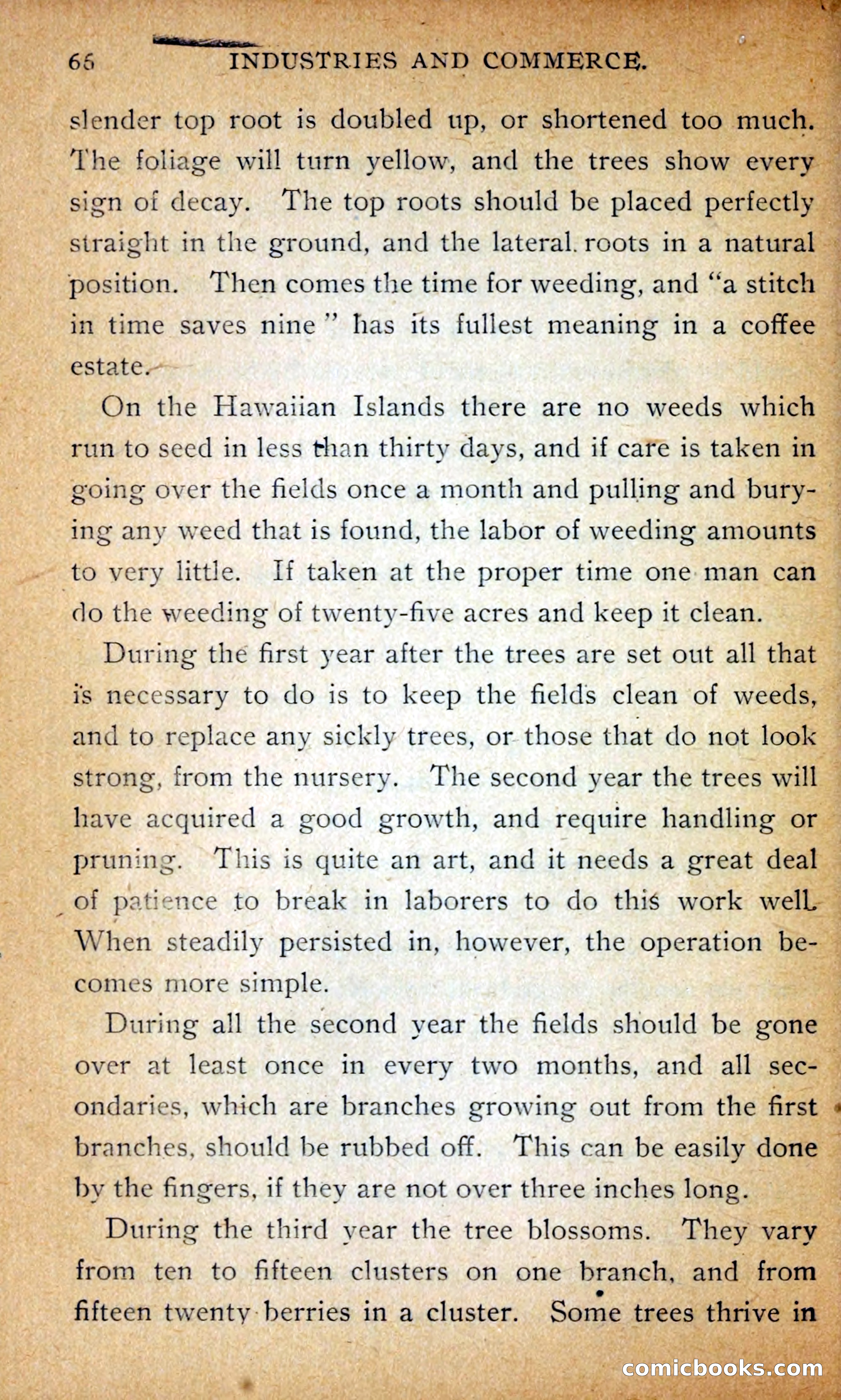 Hawaii — page 75 of 208