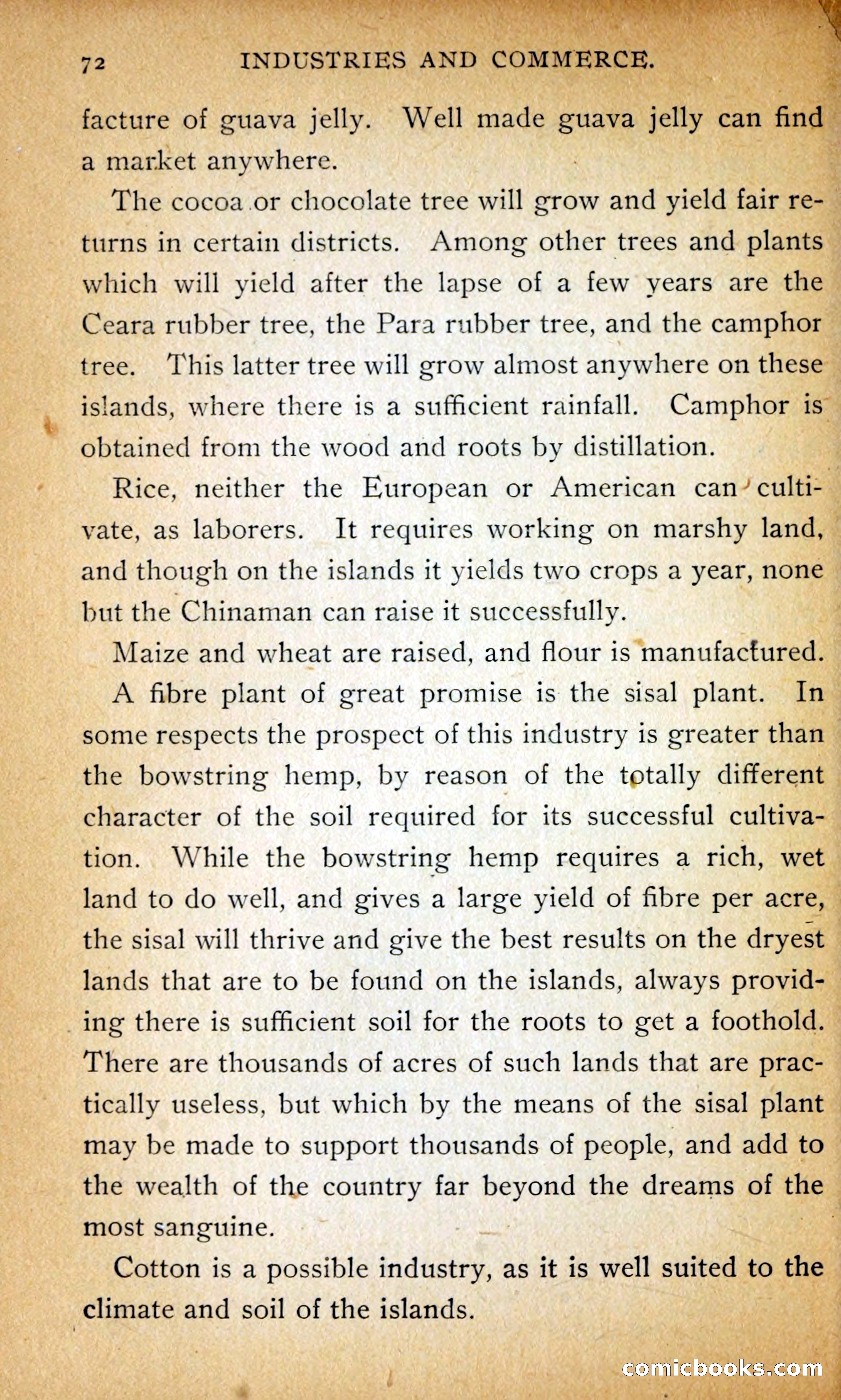 Hawaii — page 81 of 208