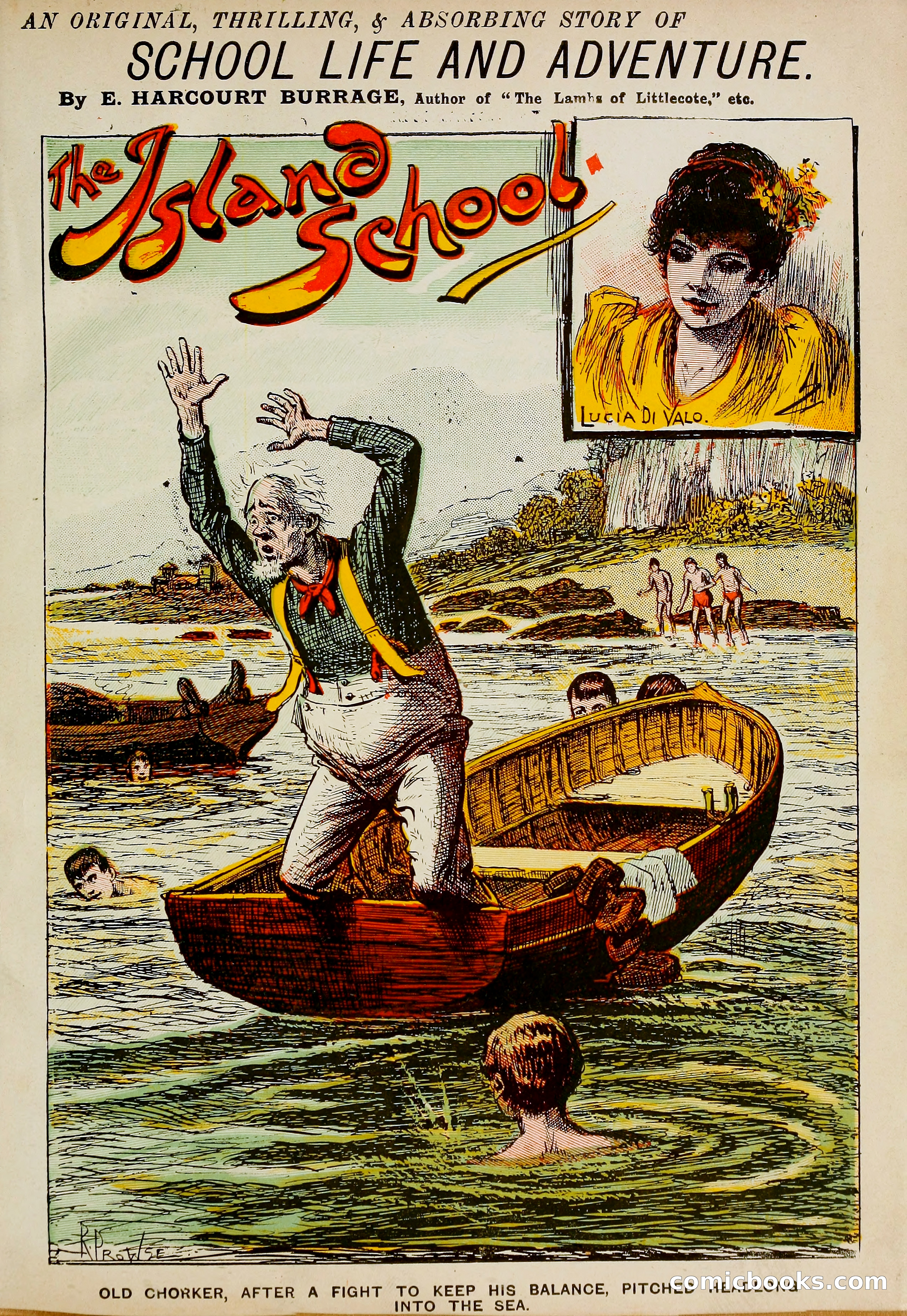 The Island School