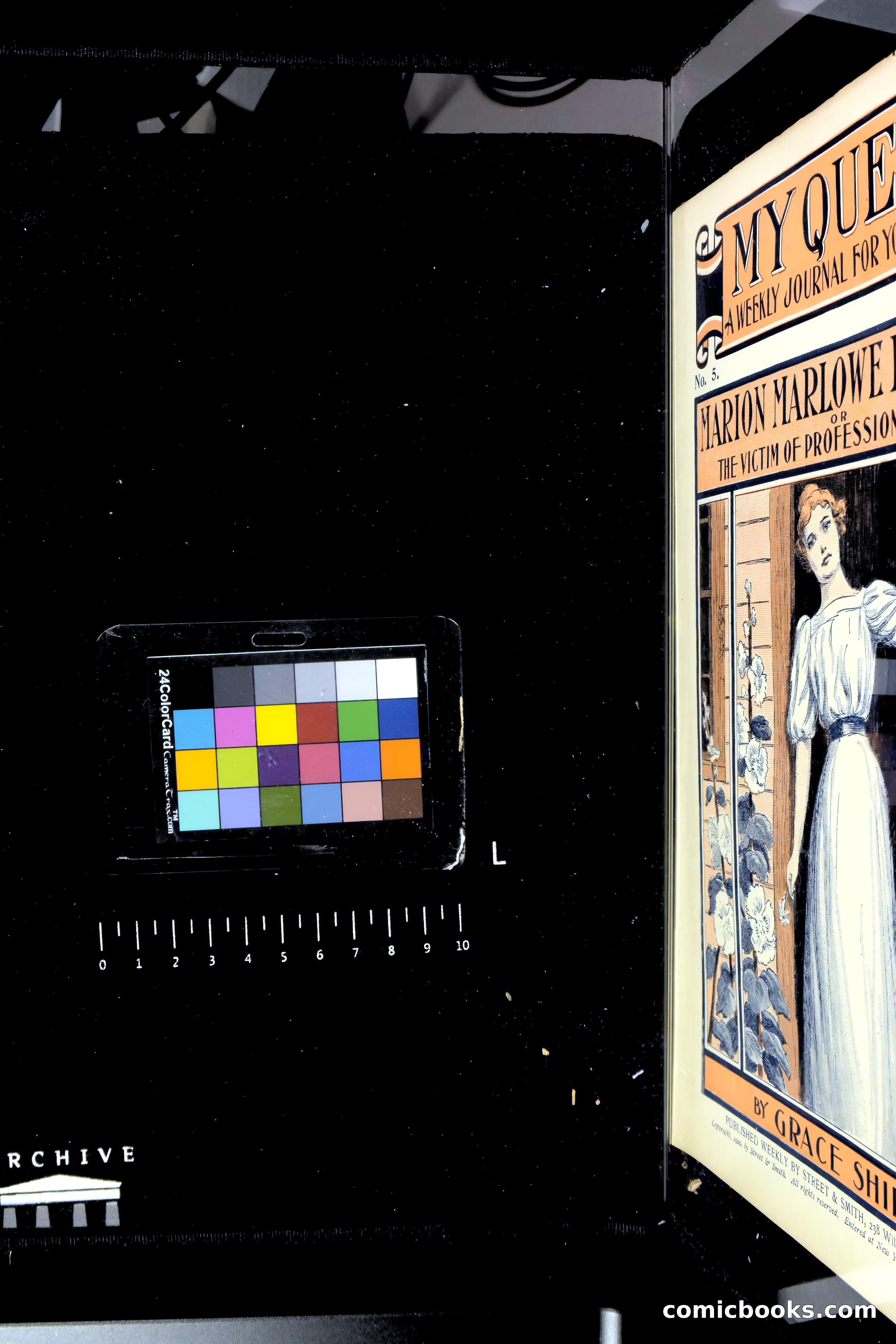 Marion Marlowe Entrapped, or, The Victim of Professional Jealousy — page 37 of 38