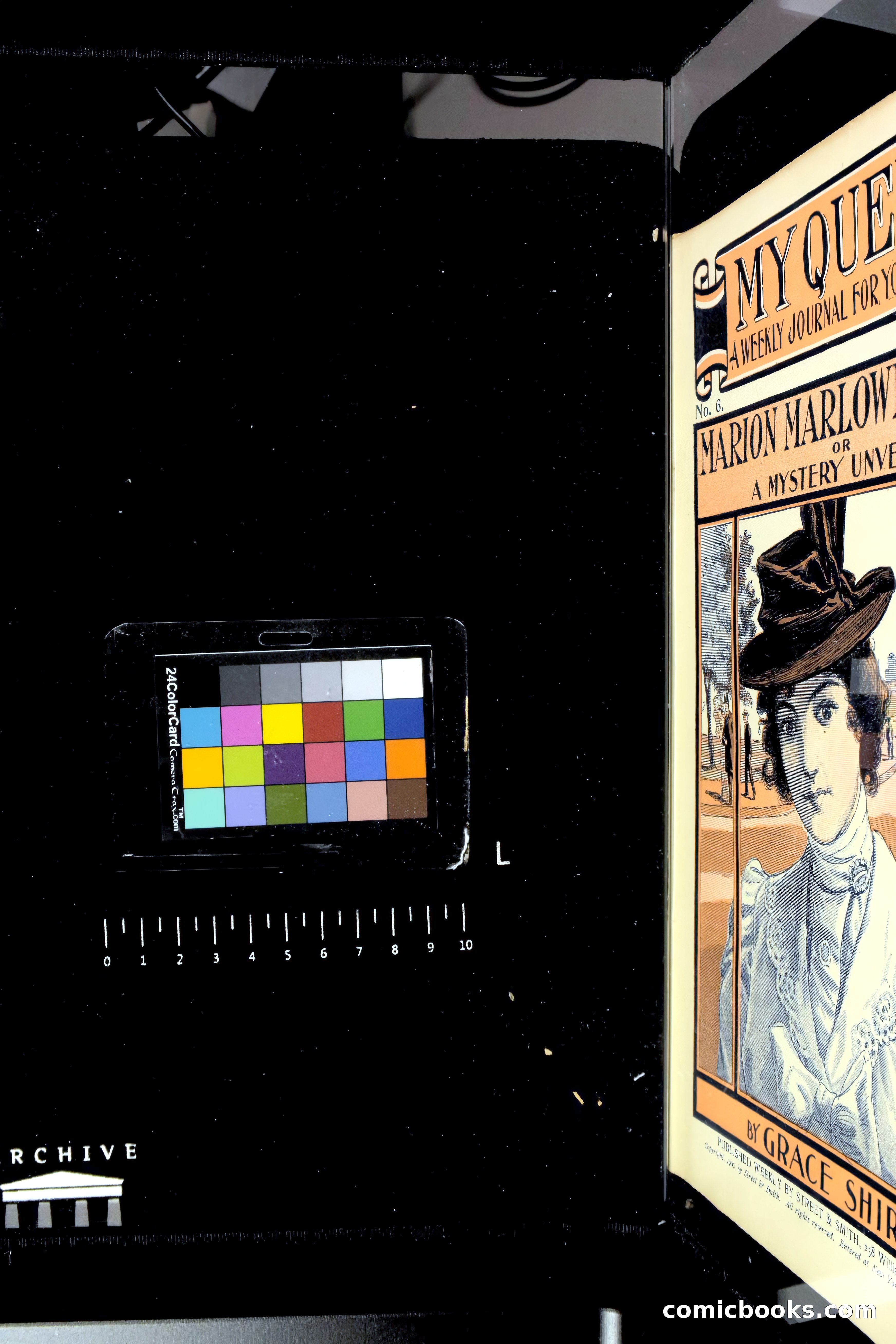 Marion Marlowe's Peril, or, A Mystery Unveiled — page 38 of 38