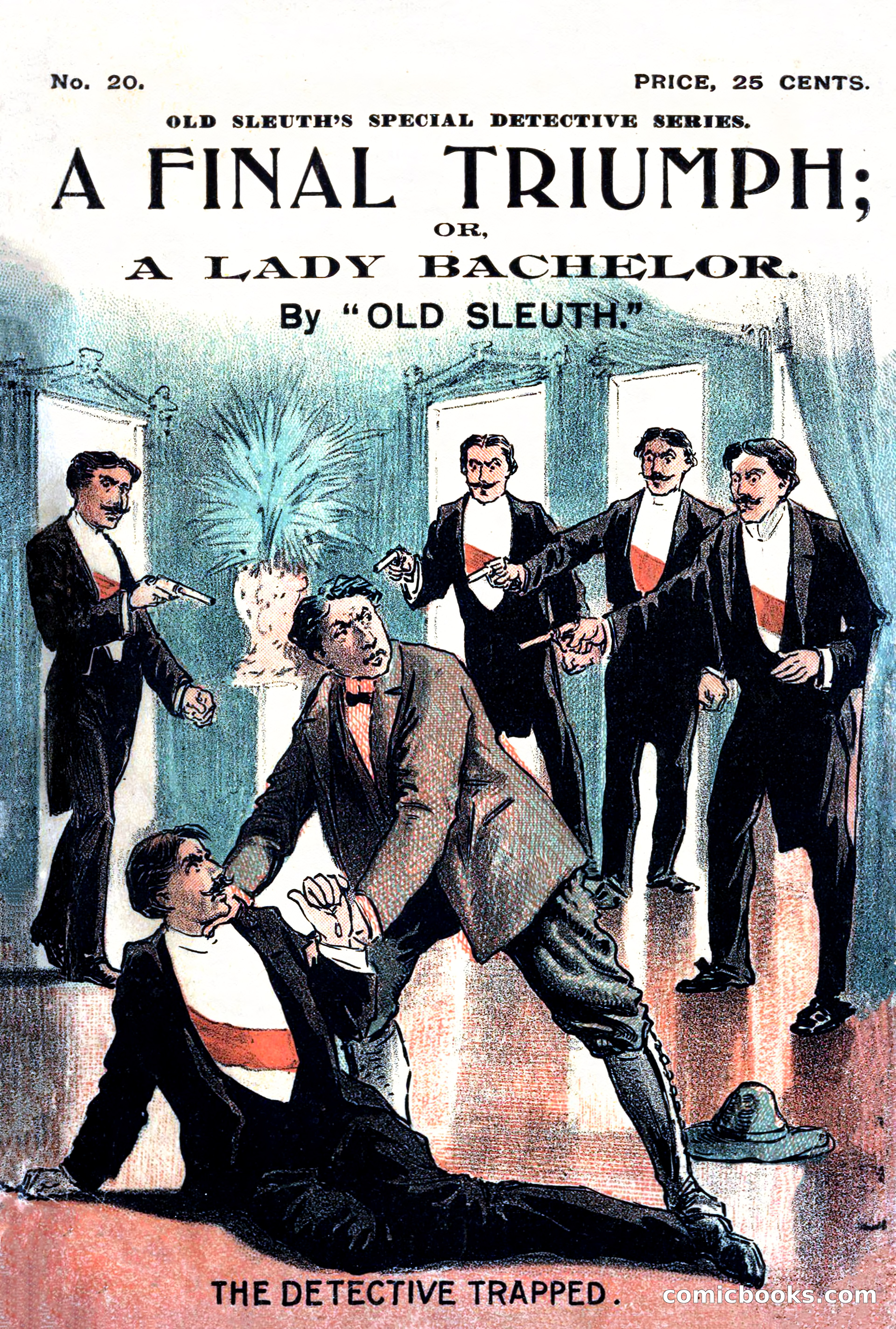 A Final Triumph; or, A Lady Bachelor