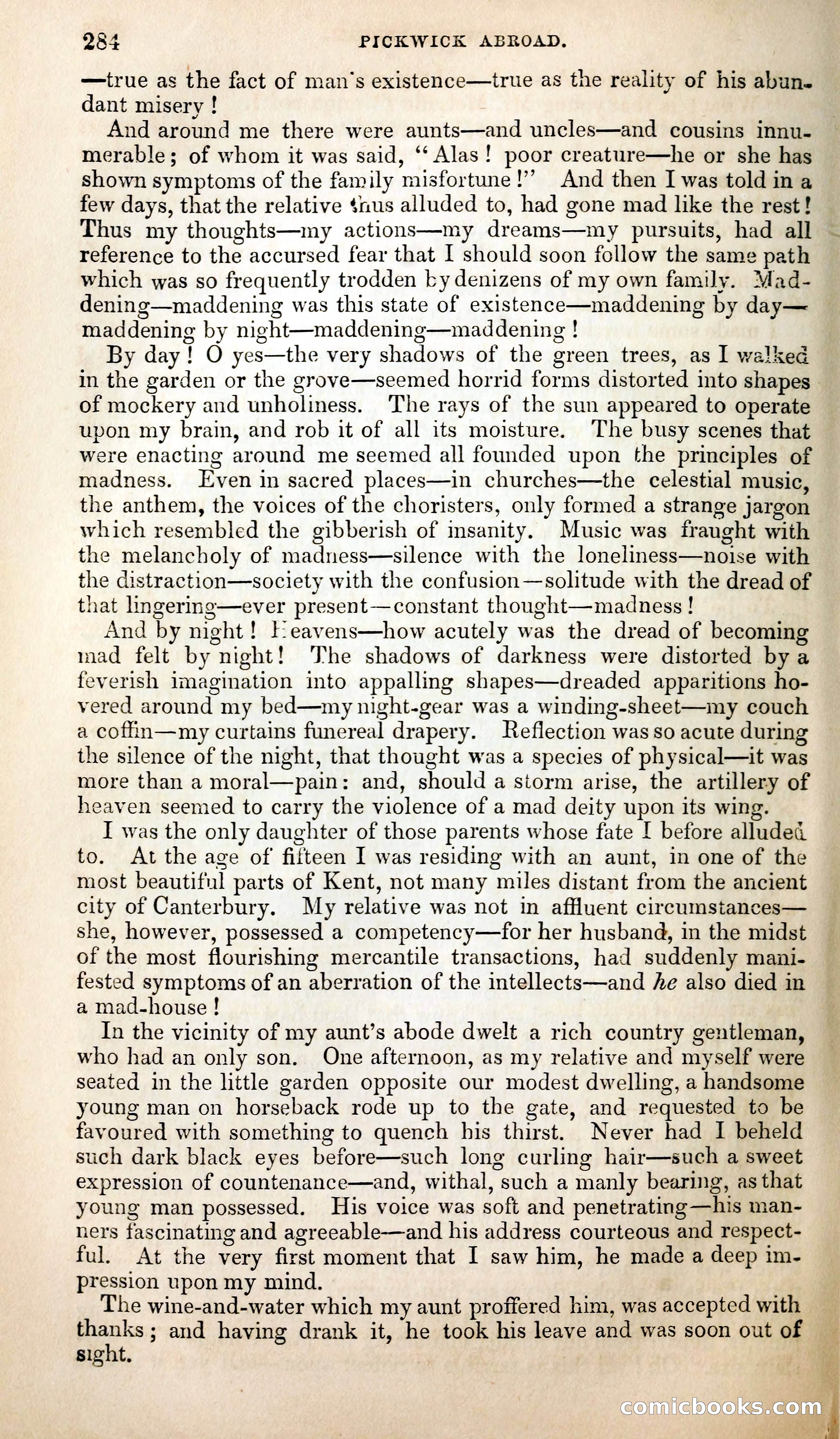 Pickwick Abroad; or, The Tour in France — page 297 of 399