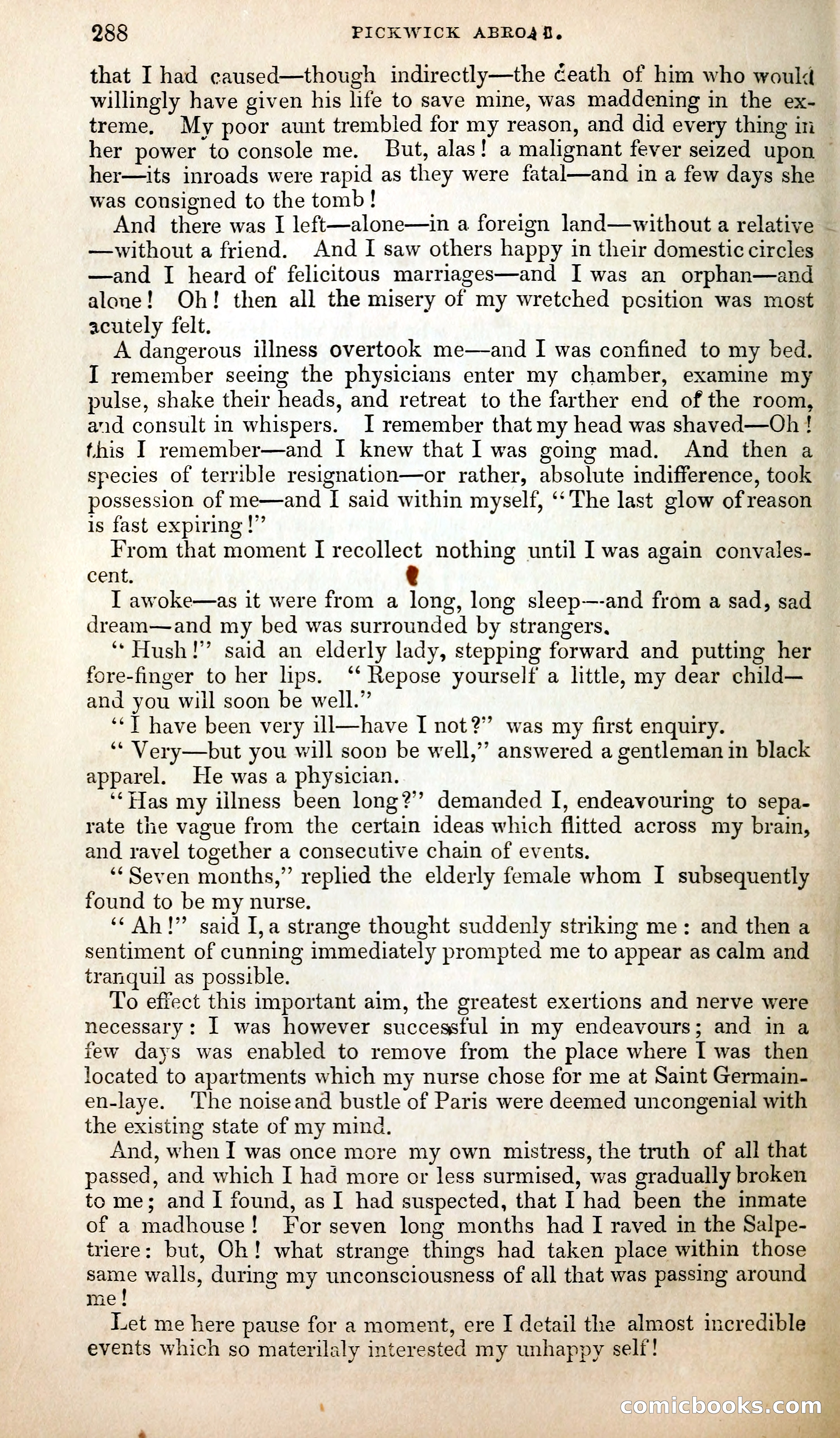 Pickwick Abroad; or, The Tour in France — page 301 of 399
