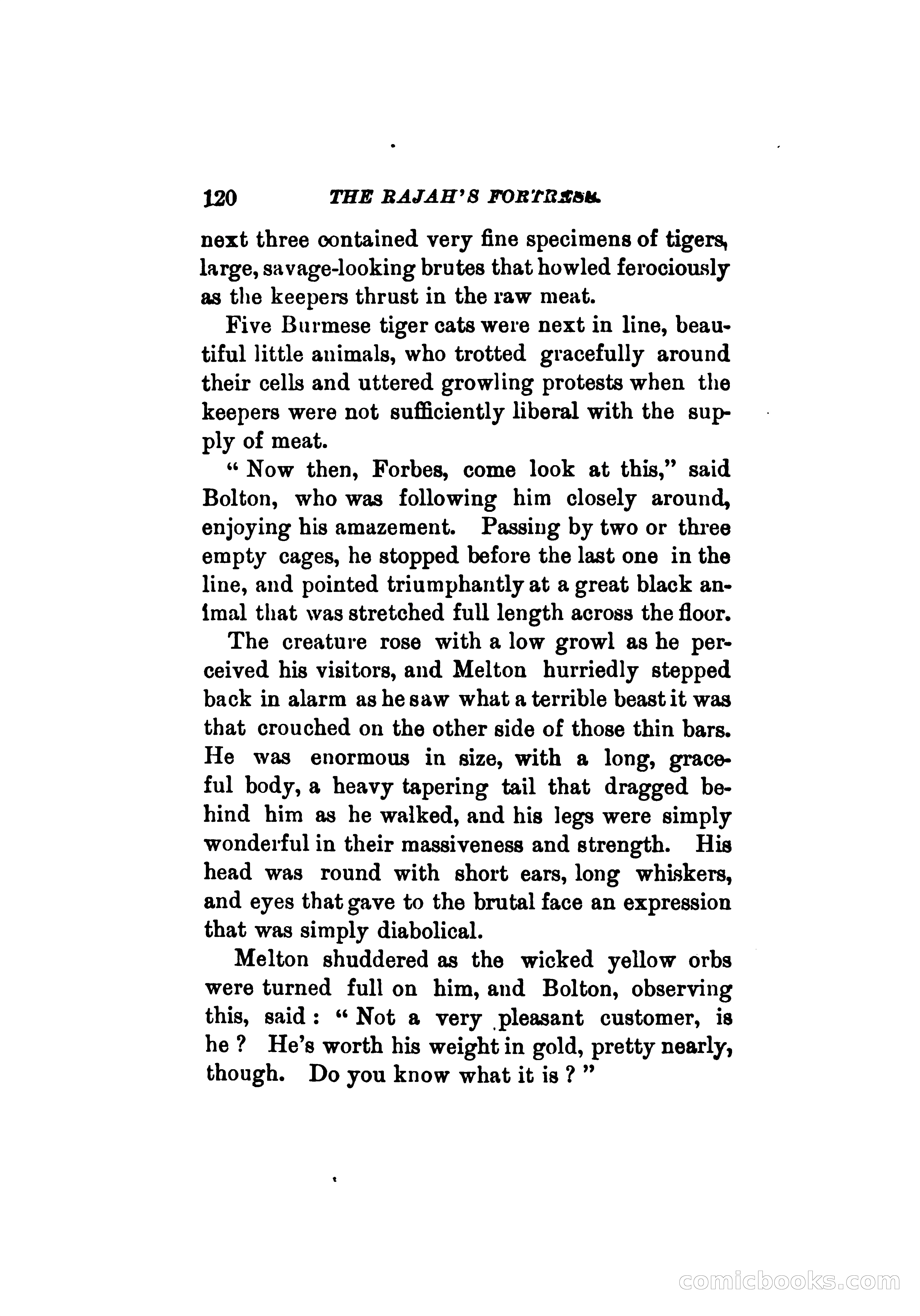 The Rajah's Fortress — page 129 of 336