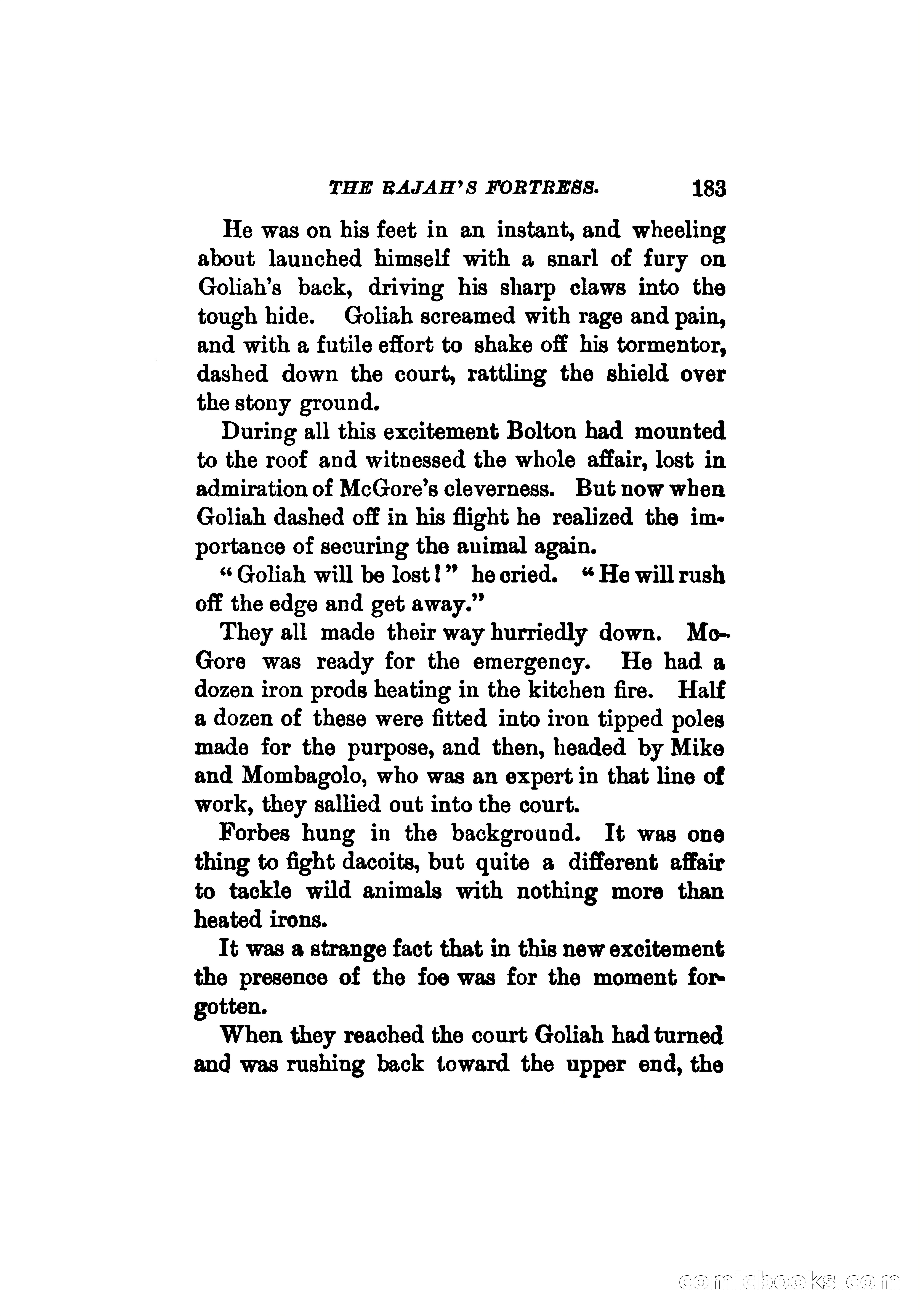 The Rajah's Fortress — page 194 of 336
