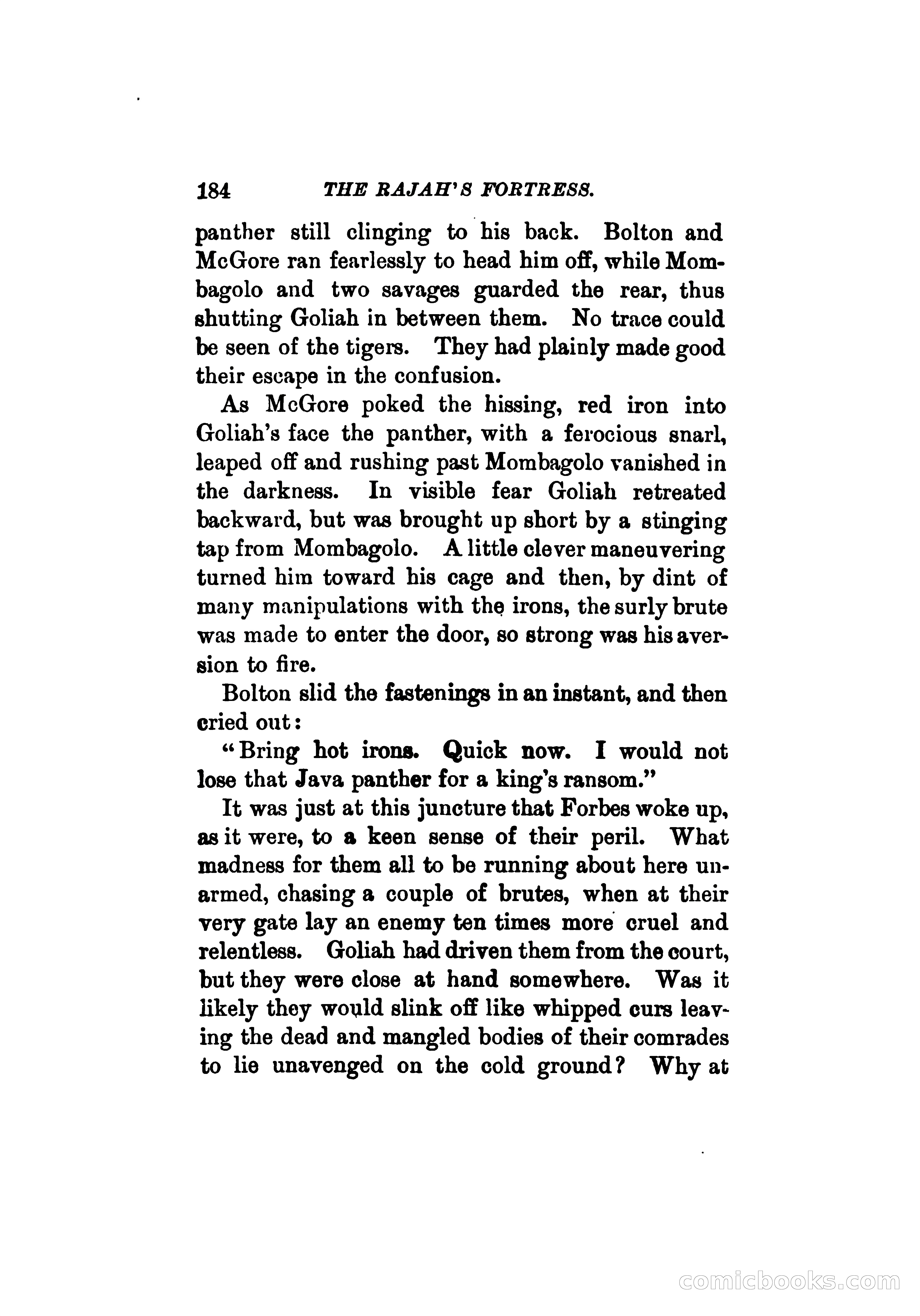 The Rajah's Fortress — page 195 of 336