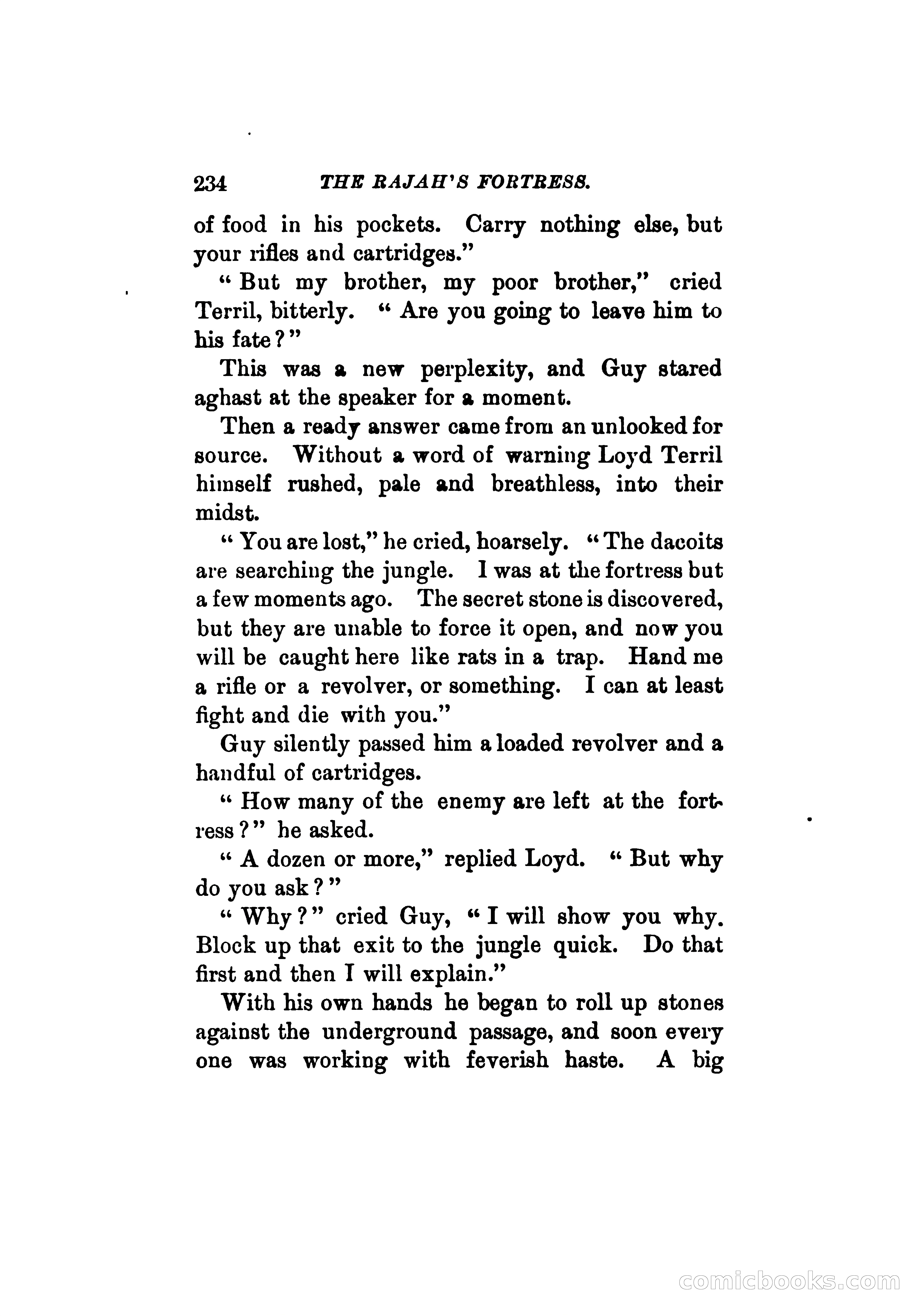 The Rajah's Fortress — page 247 of 336