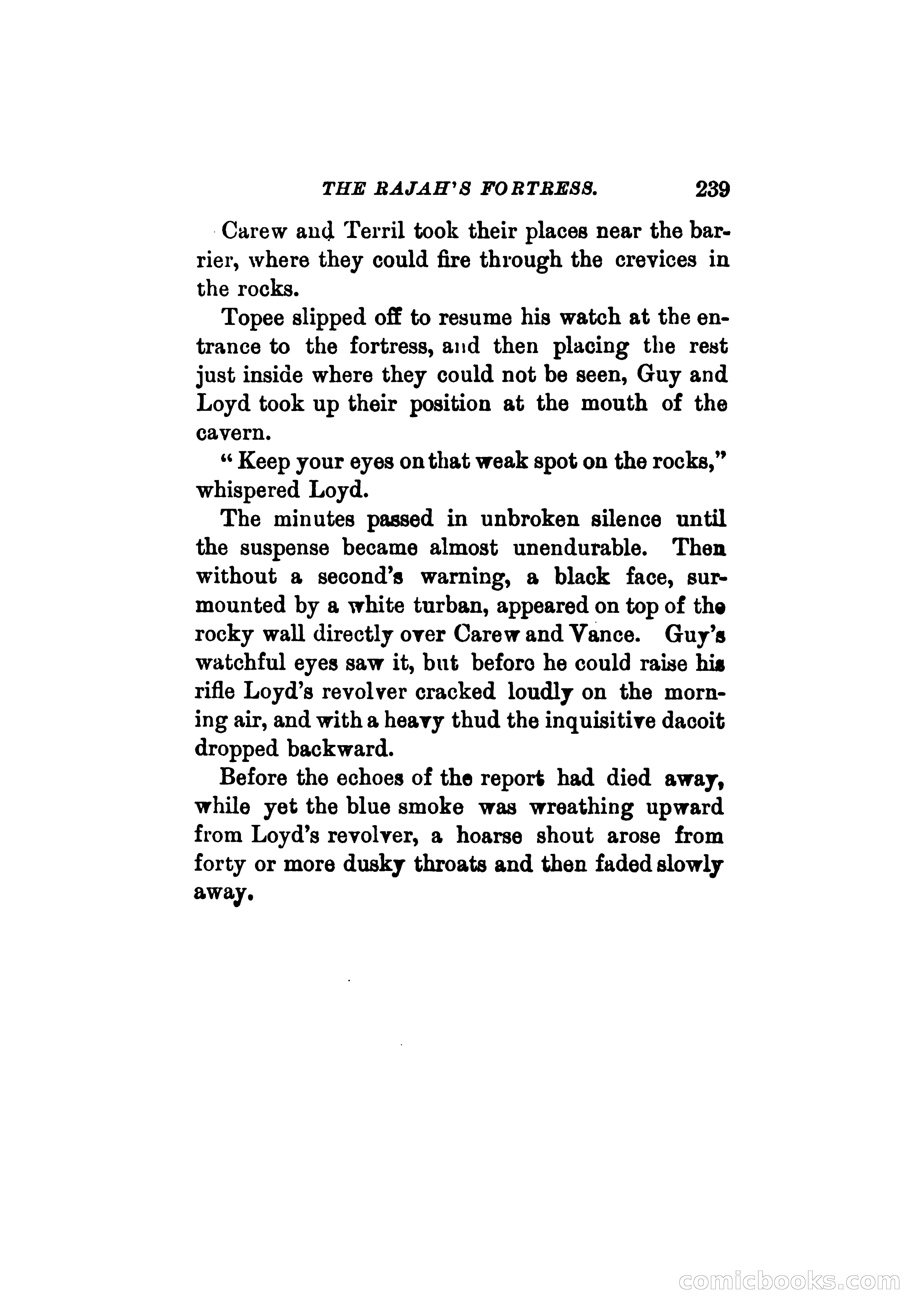 The Rajah's Fortress — page 252 of 336