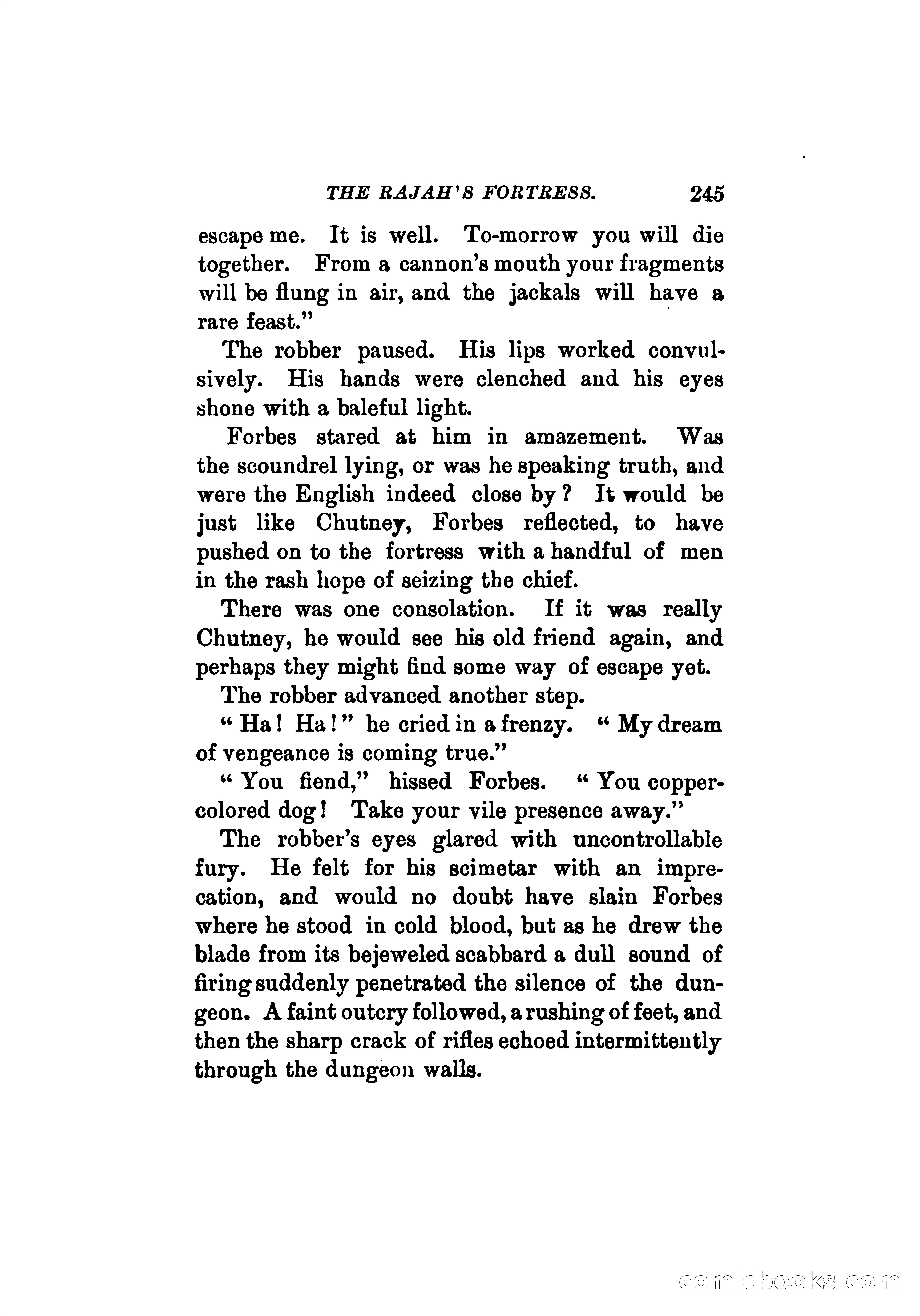 The Rajah's Fortress — page 258 of 336