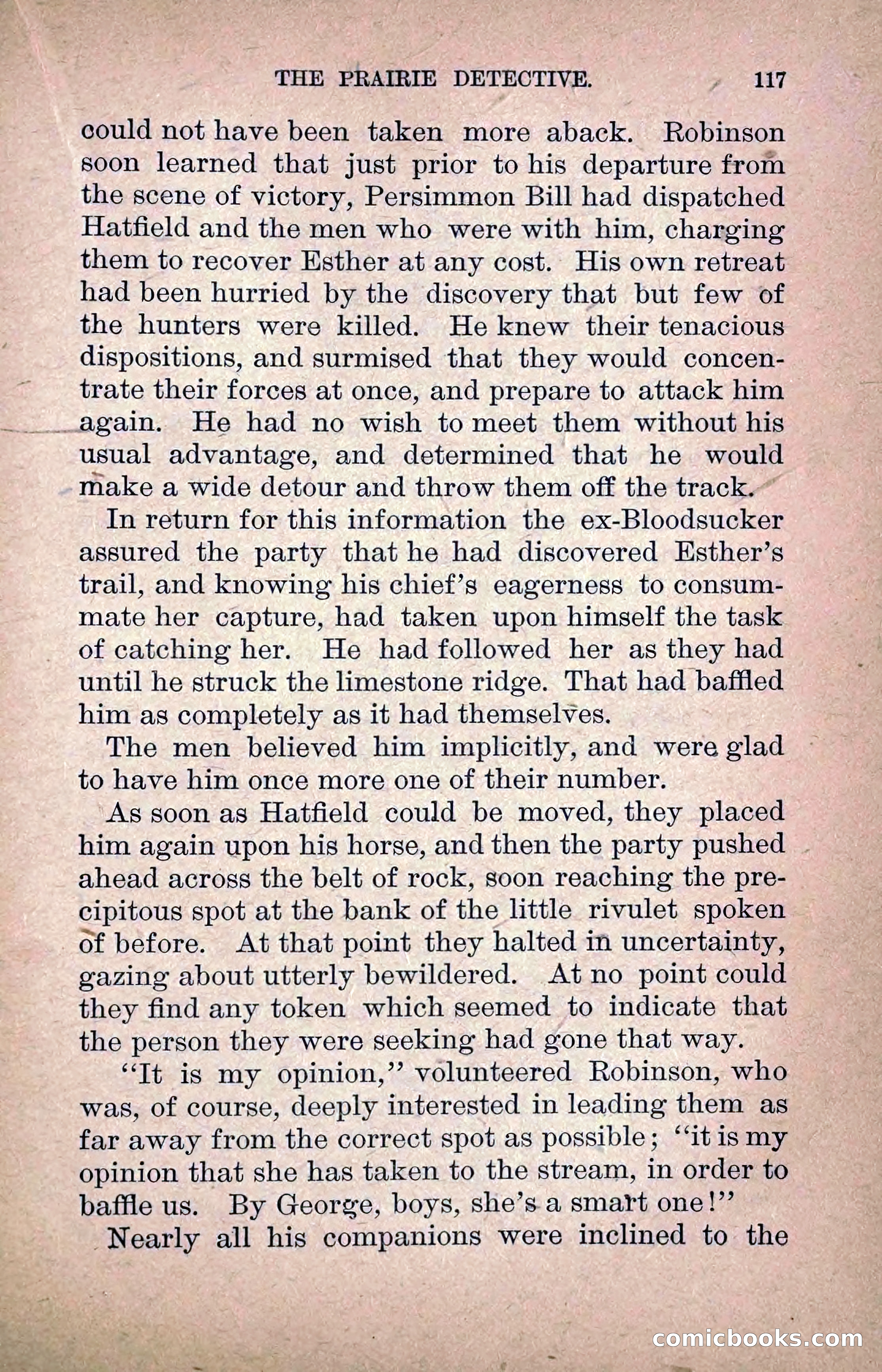 The Prairie Detective: Secret Service Series No. 24 — page 119 of 218