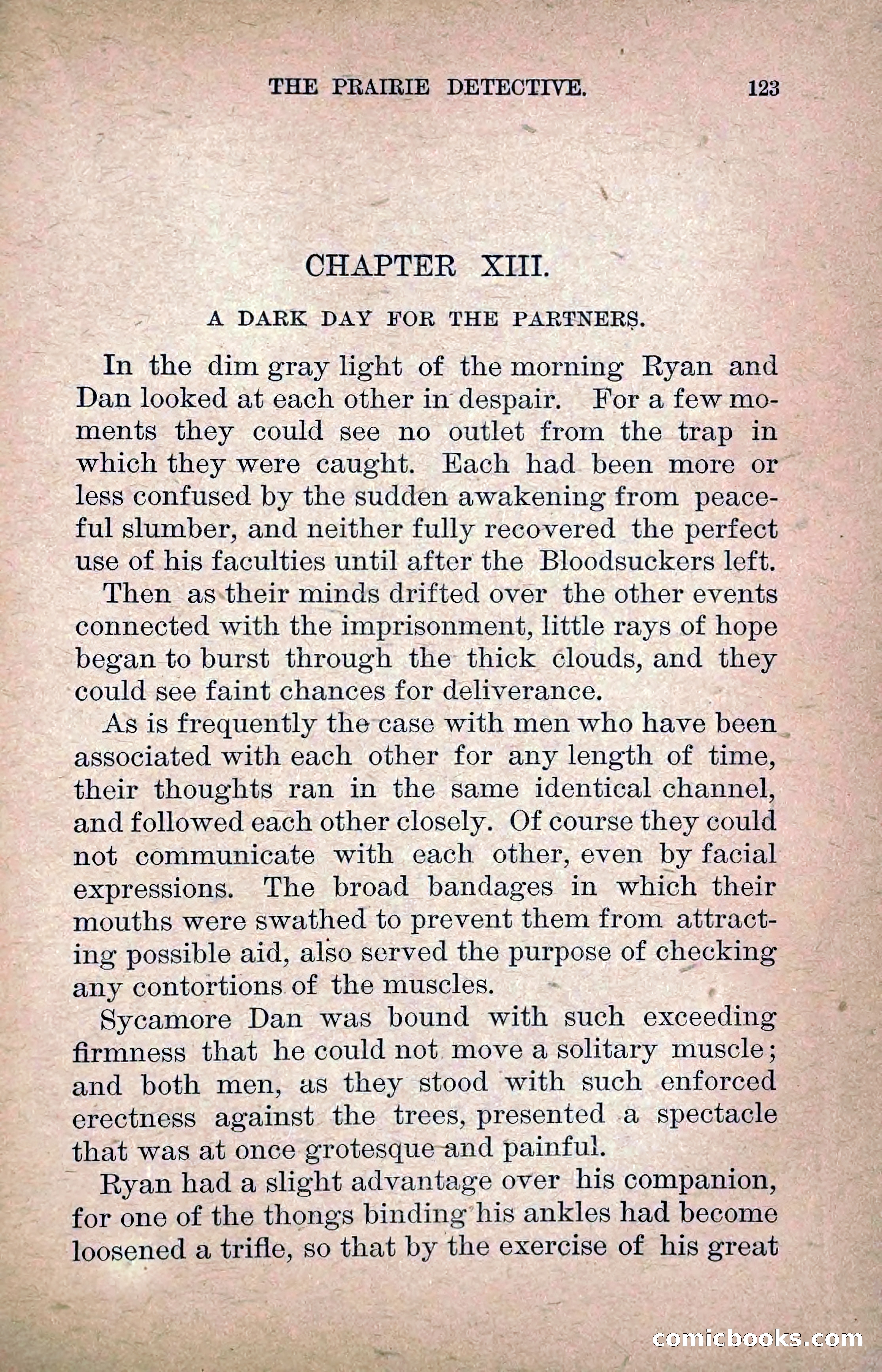 The Prairie Detective: Secret Service Series No. 24 — page 125 of 218