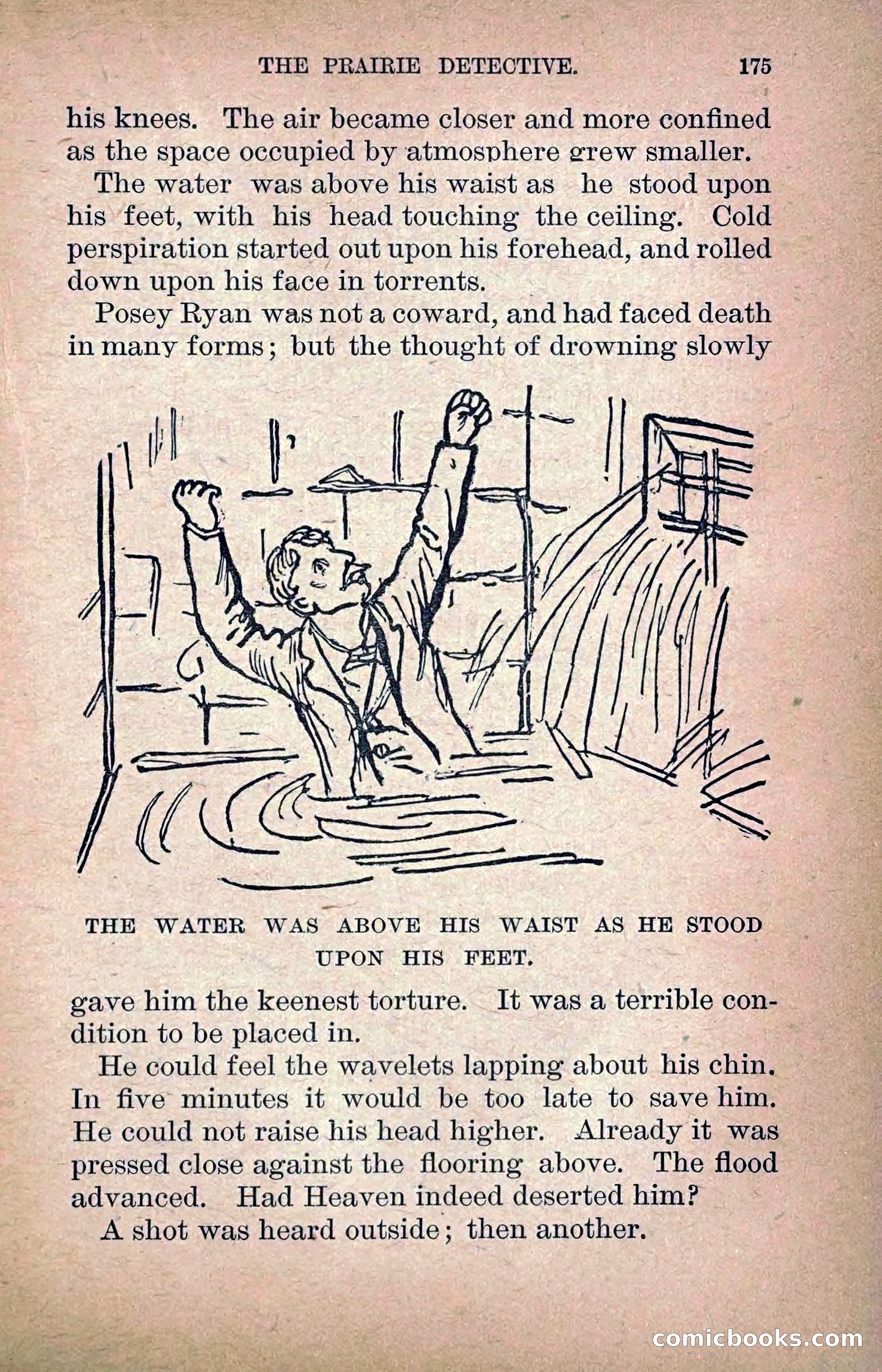 The Prairie Detective: Secret Service Series No. 24 — page 177 of 218