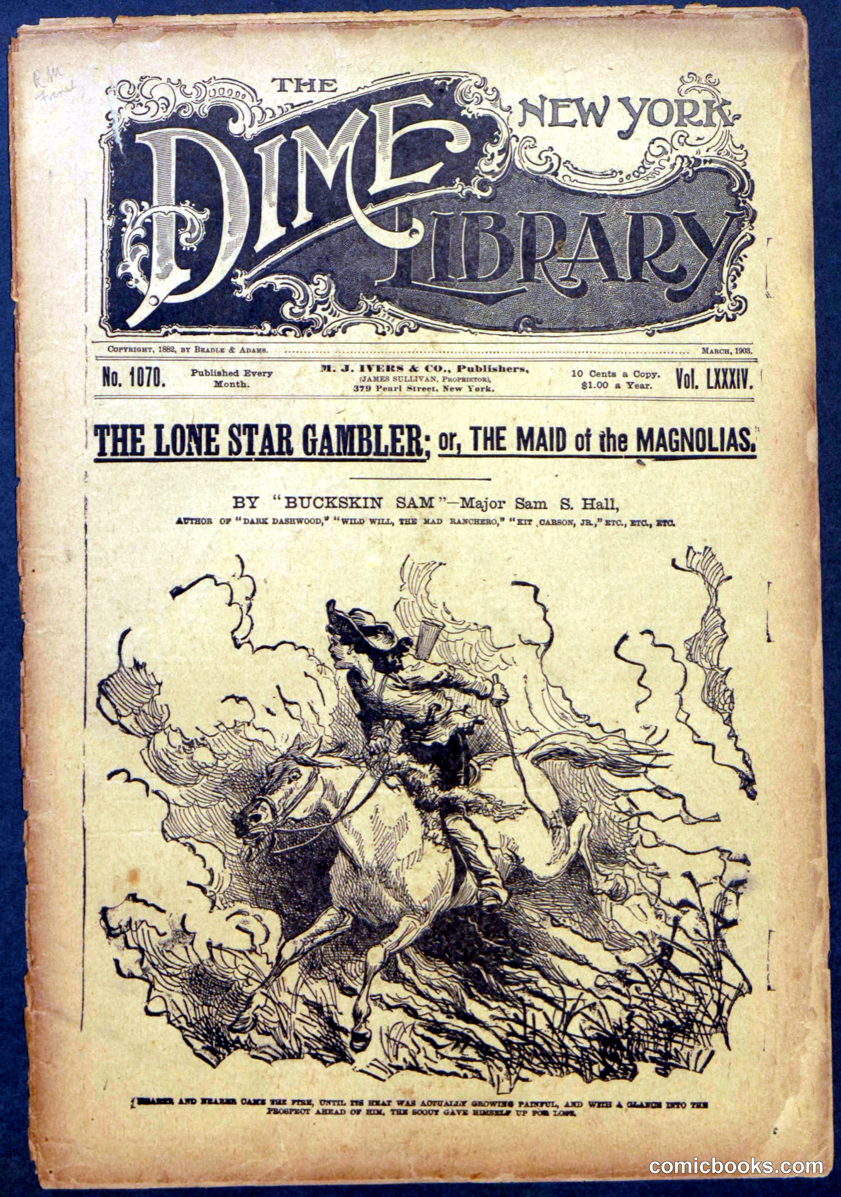 The Lone Star Gambler; or, The Maid of the Magnolias