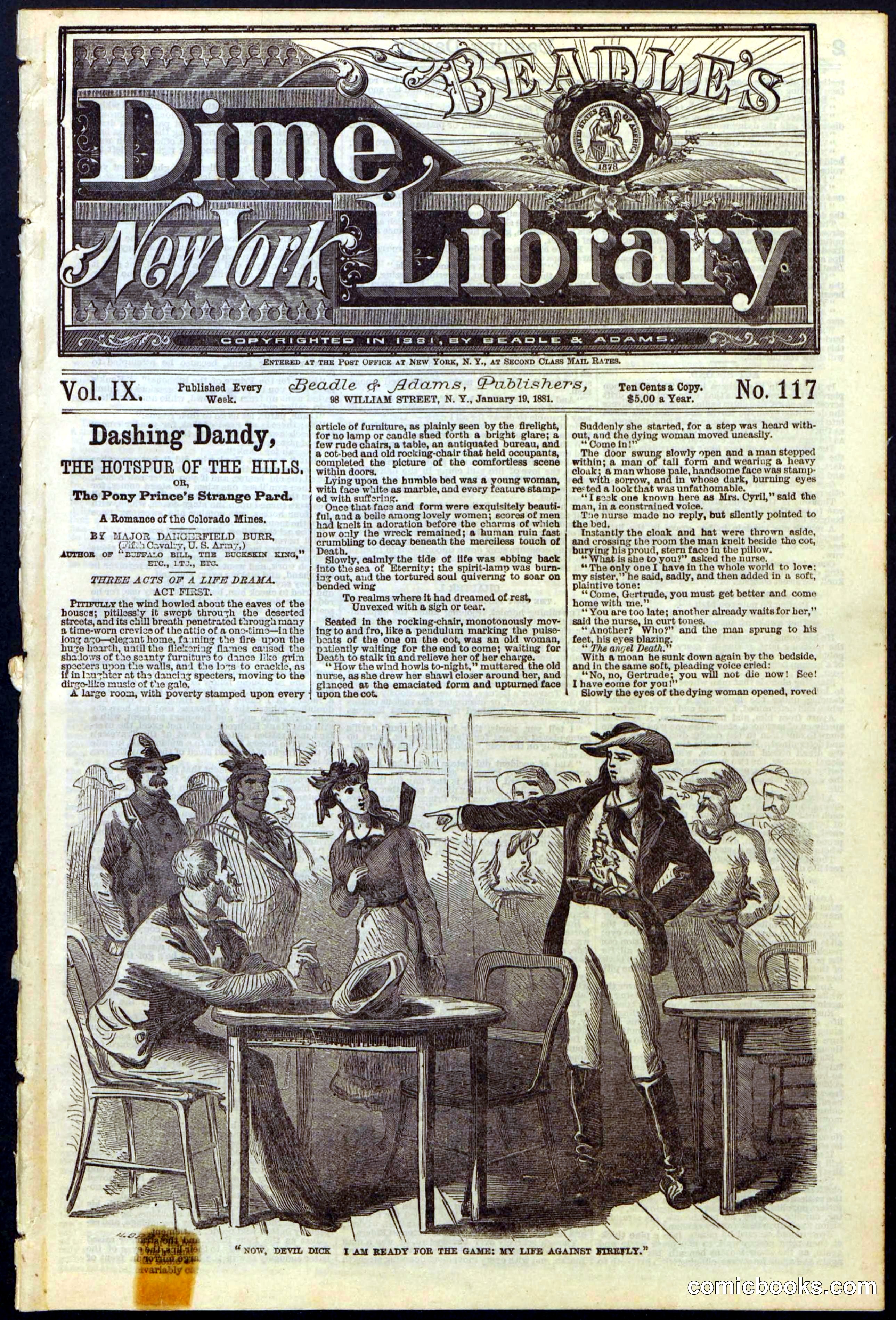 Beadle's New York Dime Library, No. 117