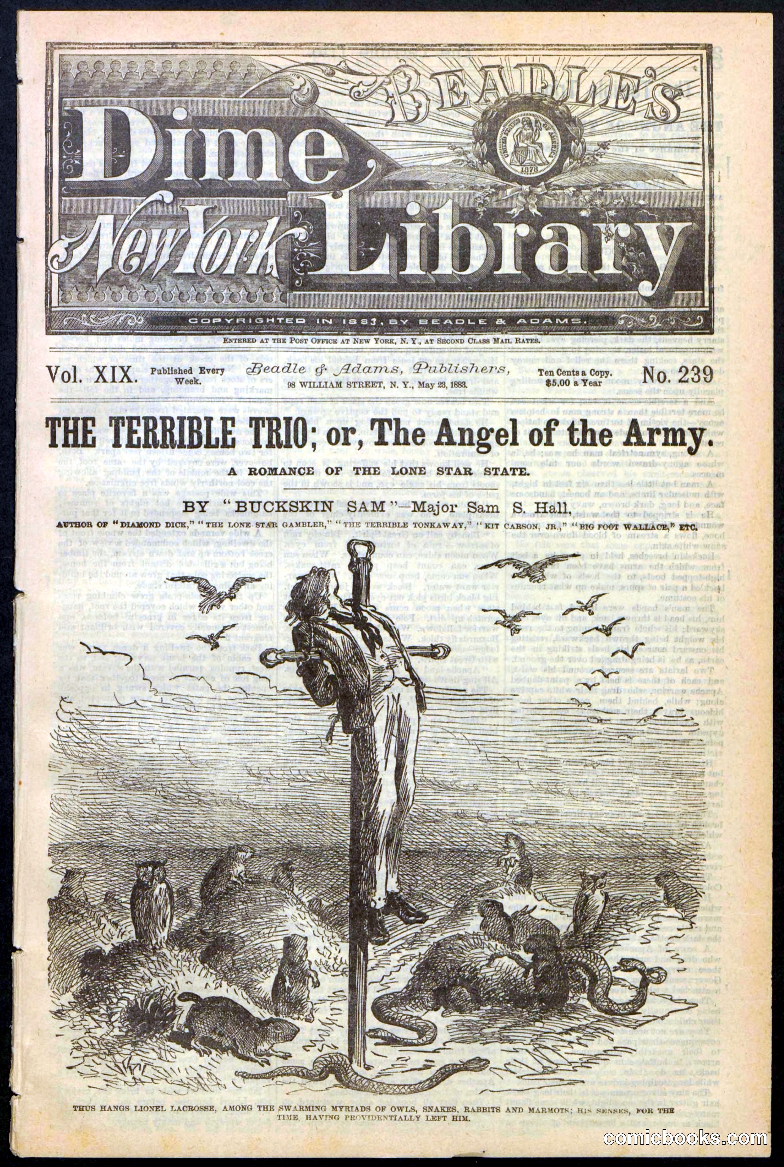 Beadle's New York Dime Library, No. 239