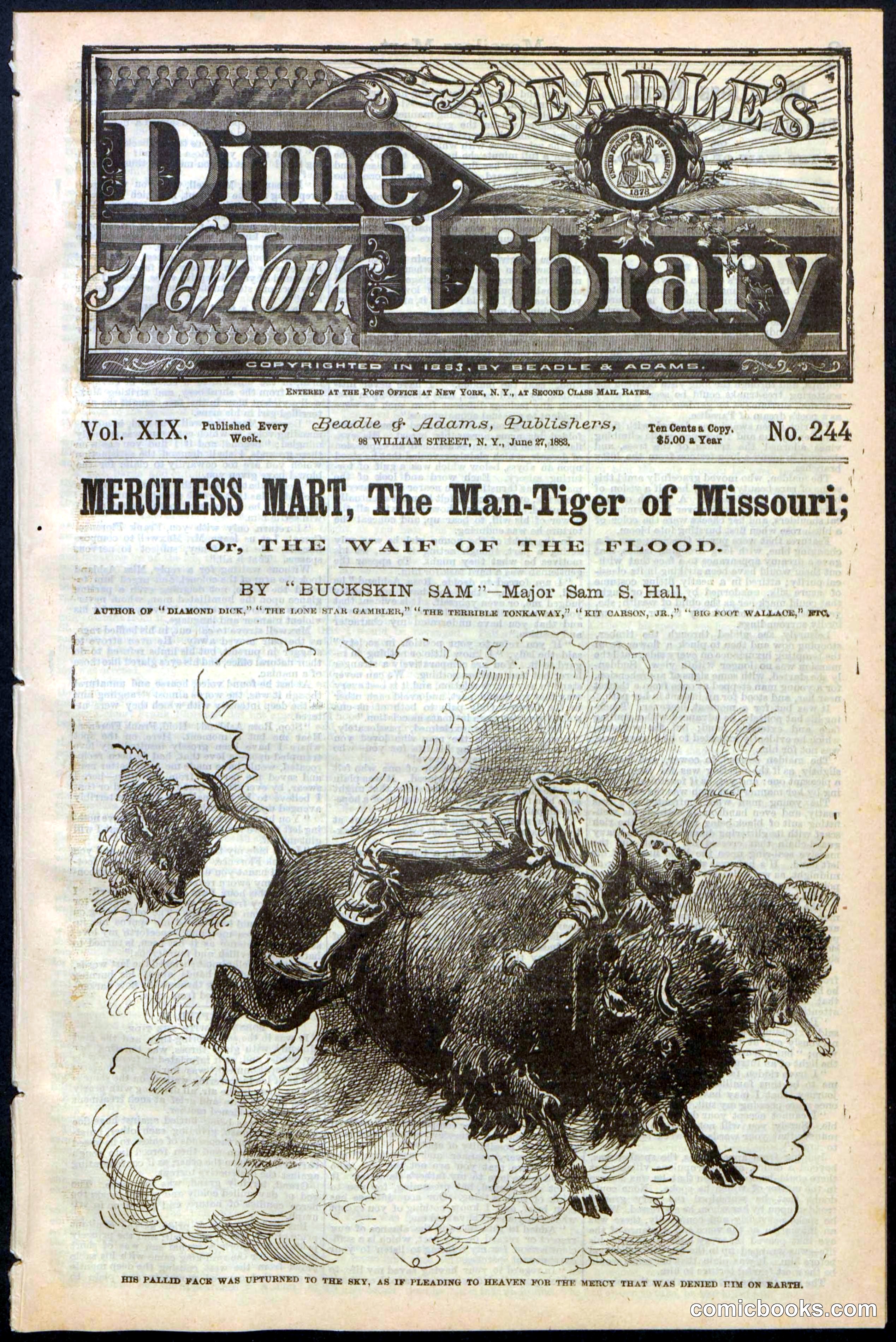 Beadle's New York Dime Library, No. 244