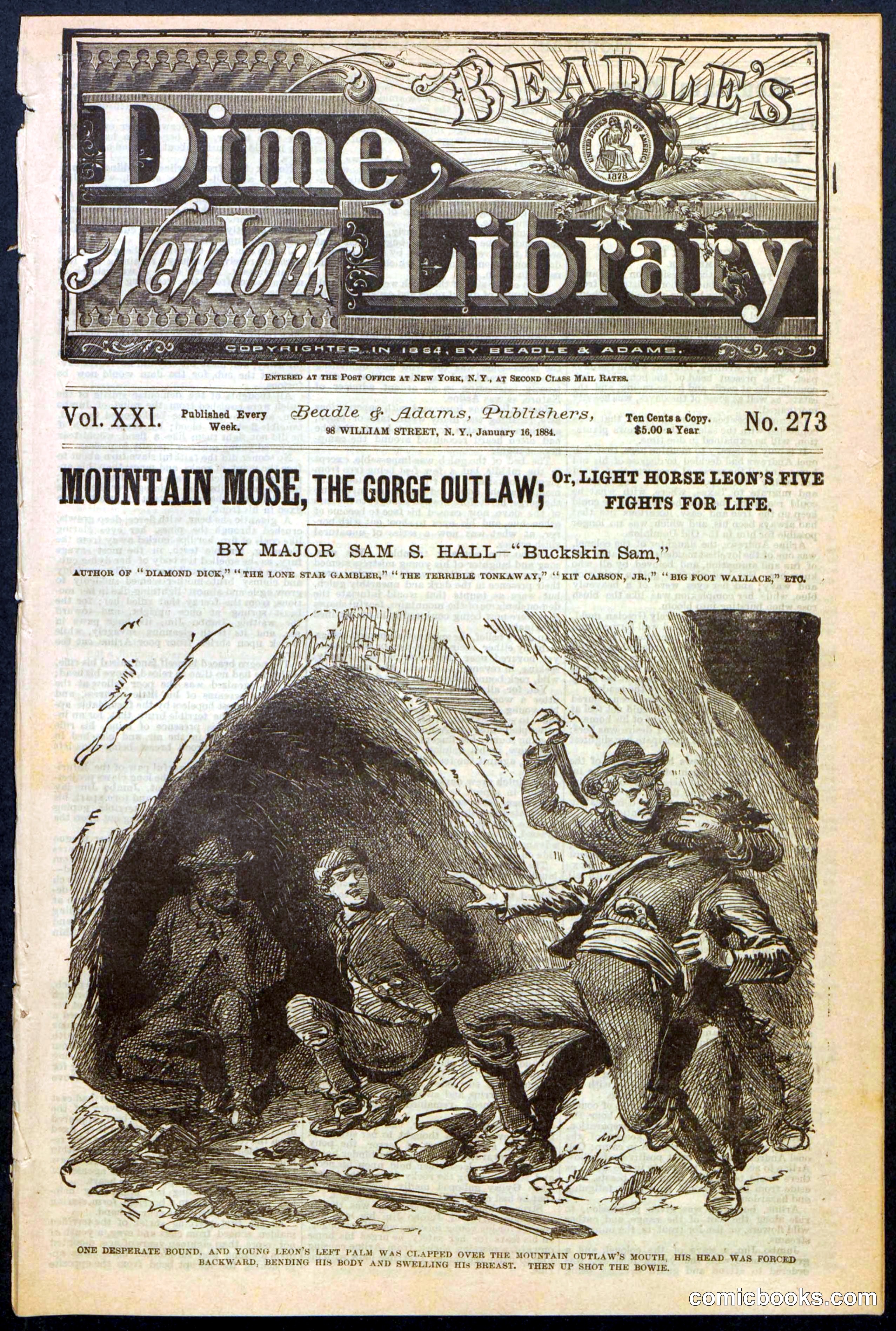 Beadle's Dime Library, No. 273