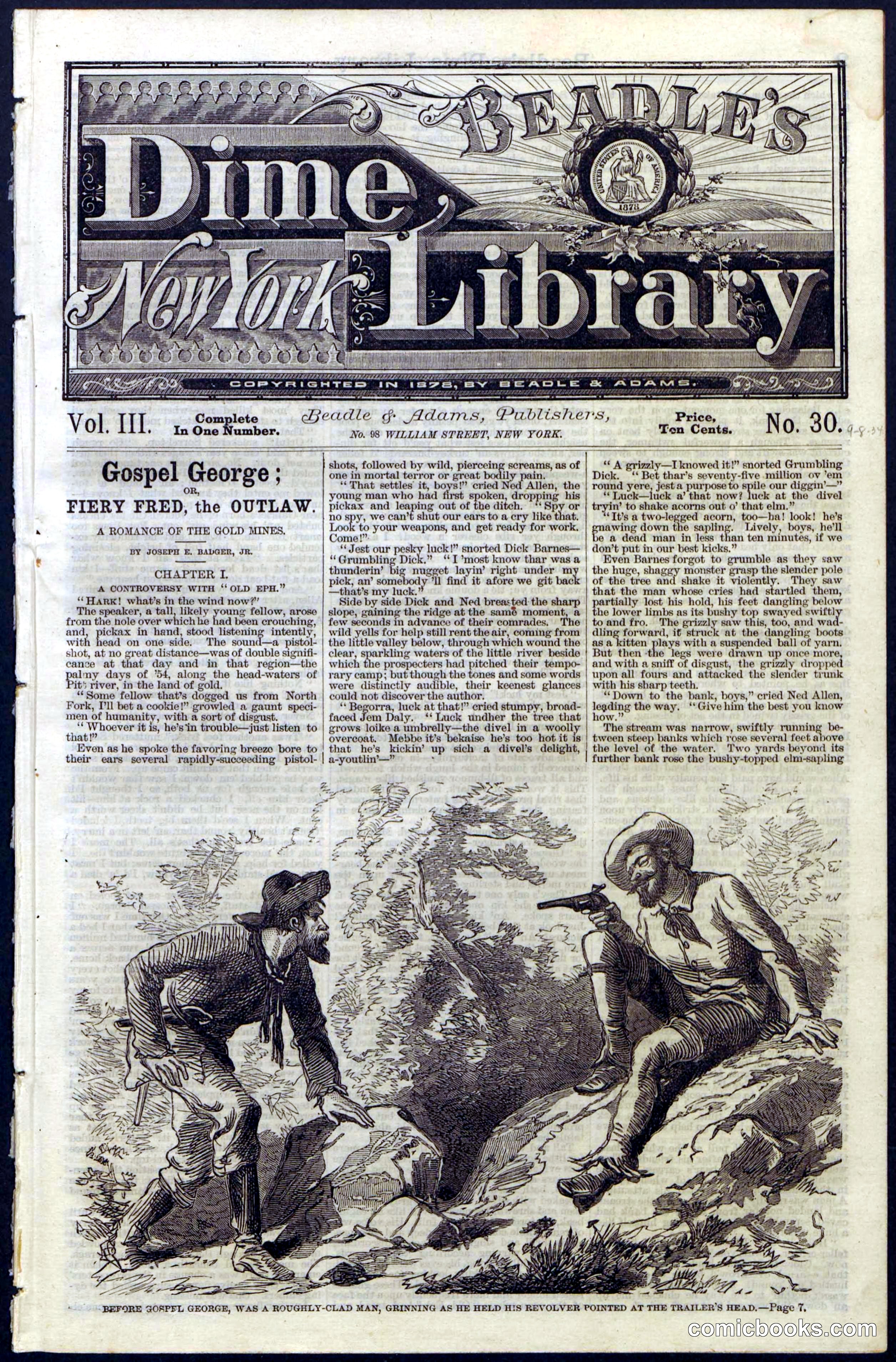 Beadle's New York Dime Library, No. 30
