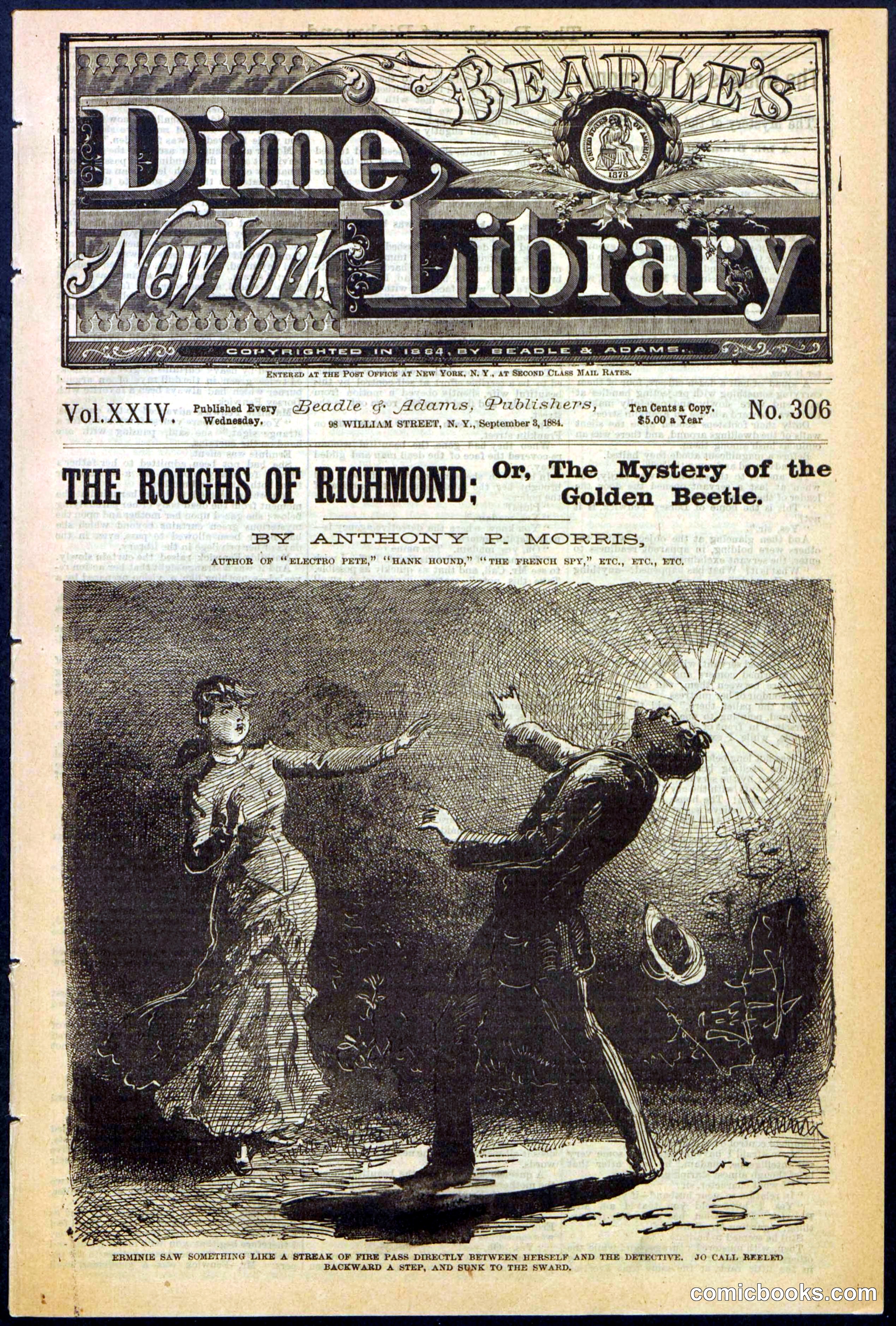 Beadle's New York Dime Library, No. 306