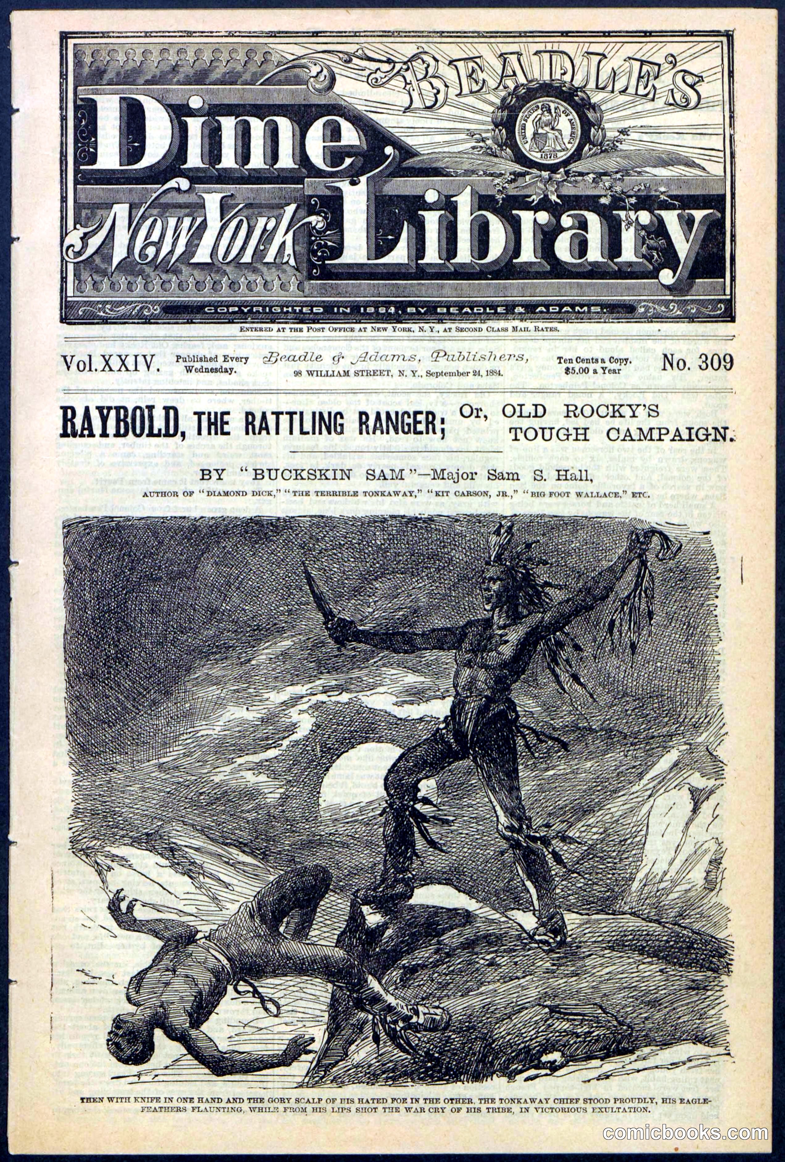 Beadle's Dime Library No. 309