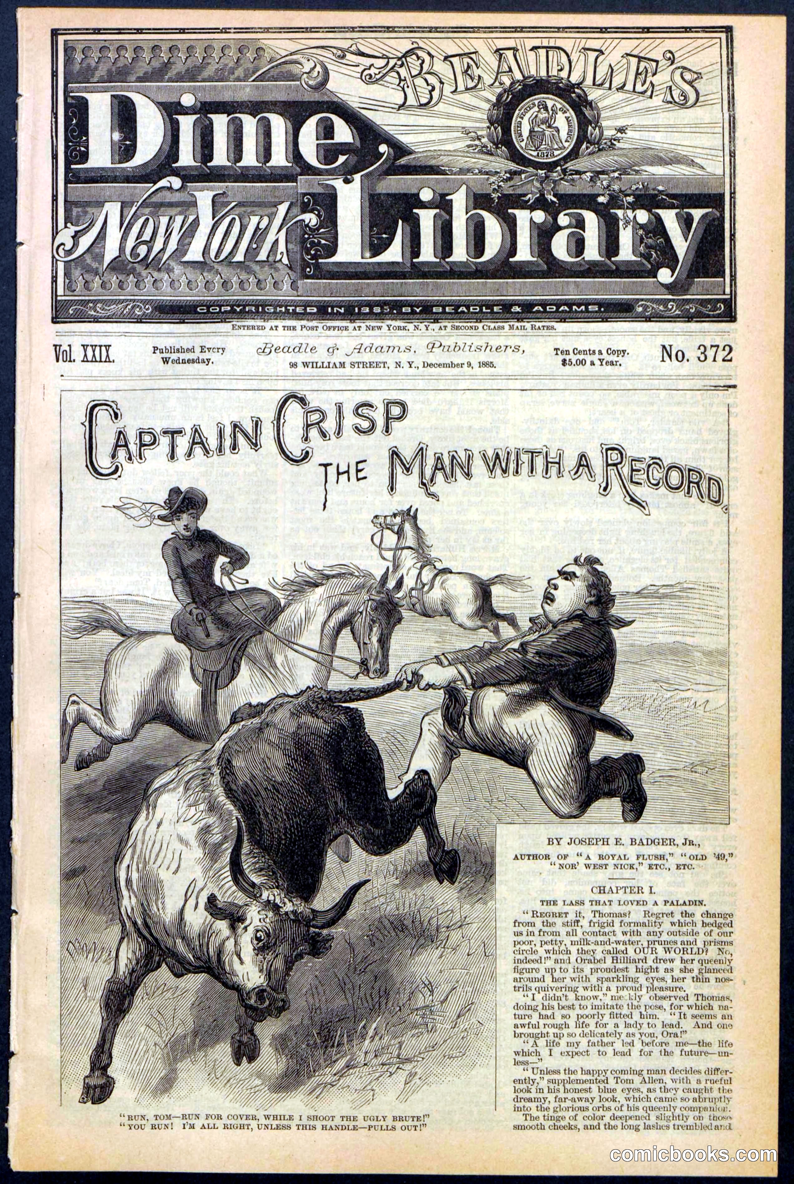 Beadle's Dime Library No. 372