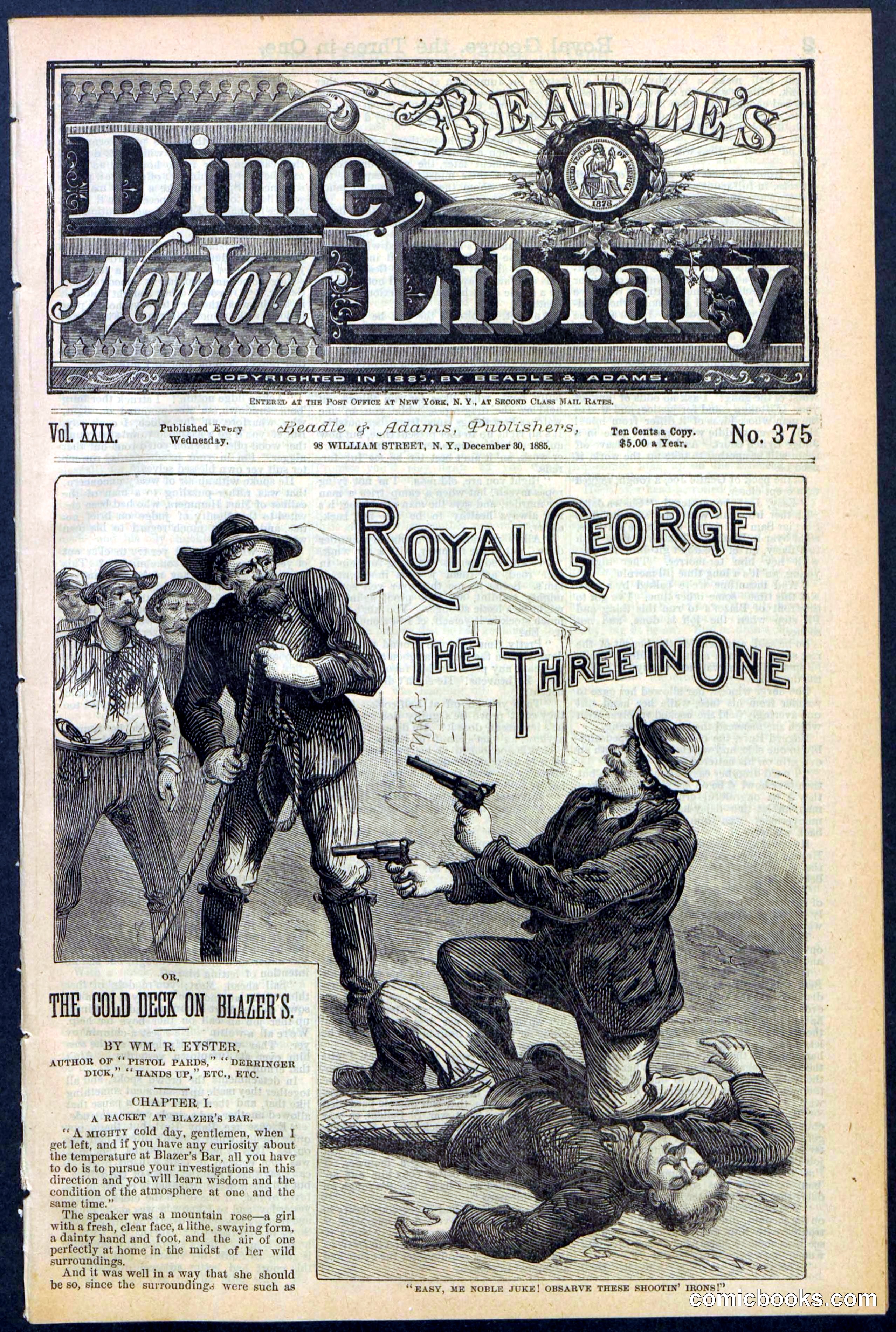 Beadle's New York Dime Library, No. 375