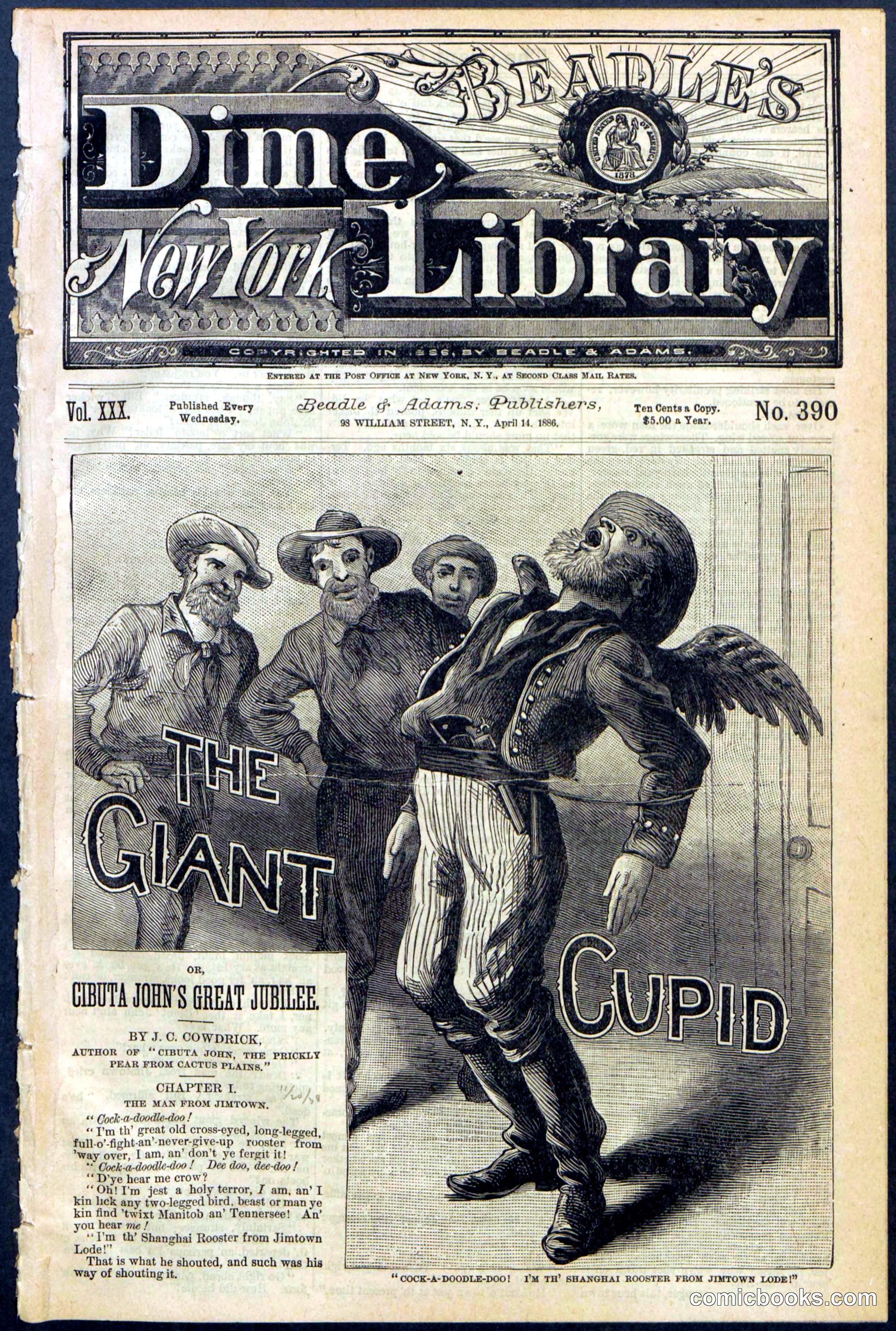 Beadle's New York Dime Library, No. 390