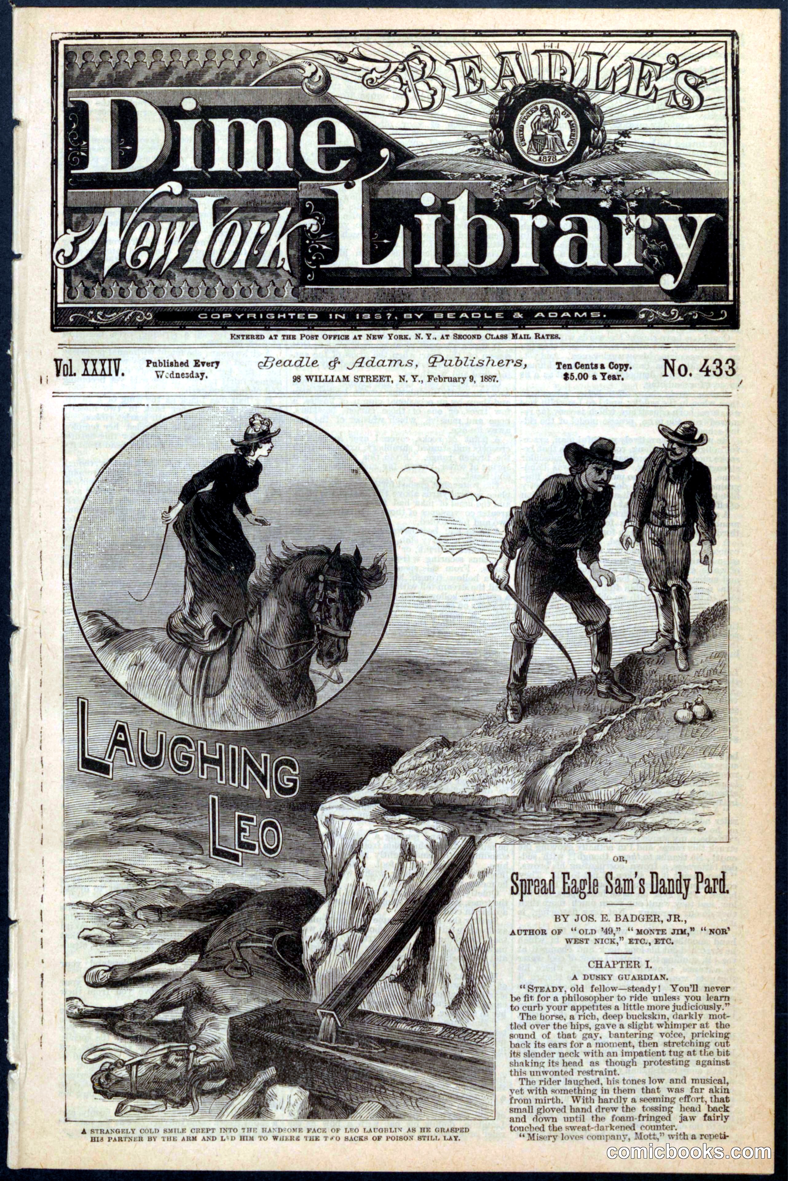 Beadle's New York Dime Library No. 433