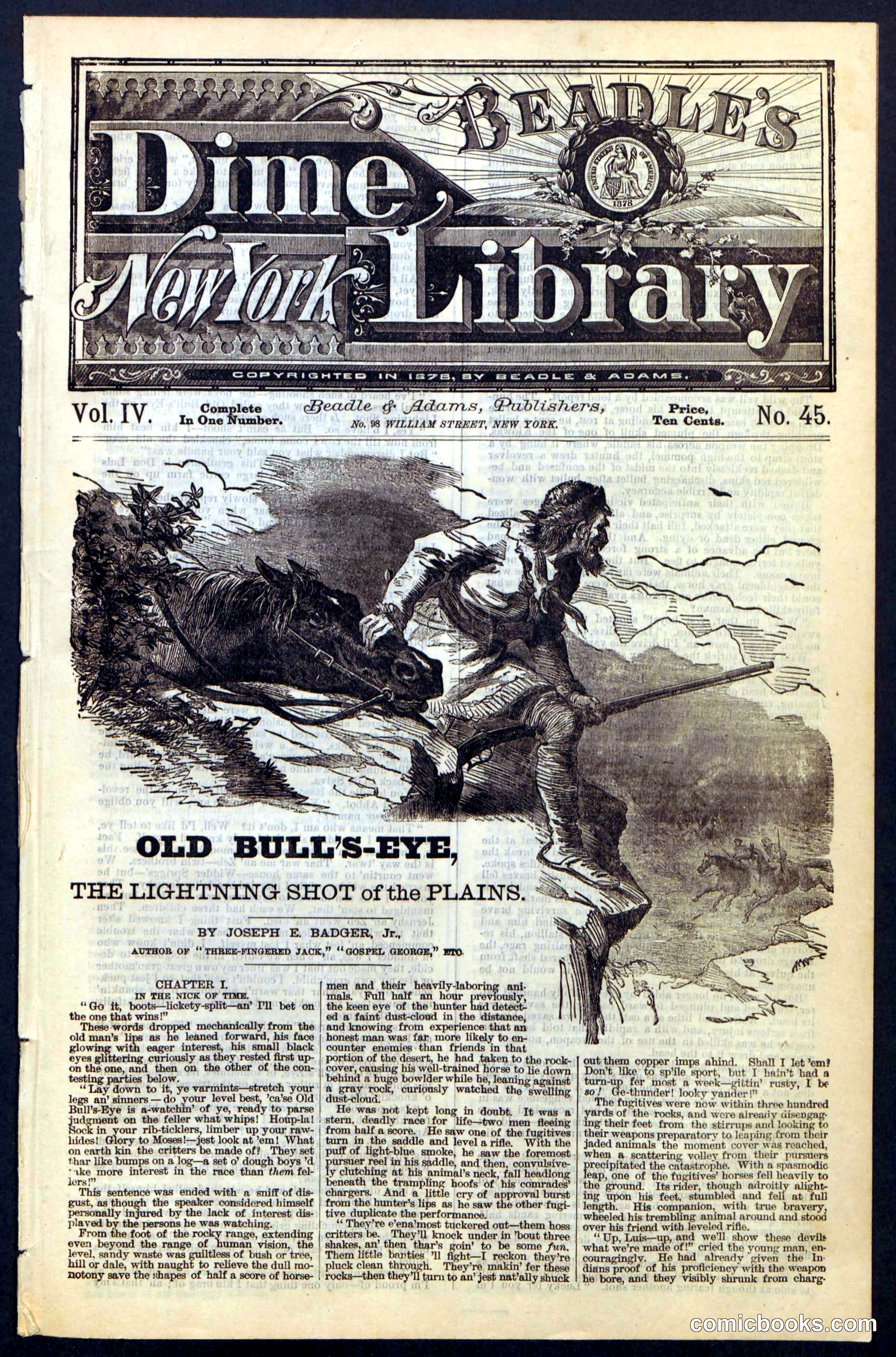 Beadle's Dime Library, Vol. IV, No. 45