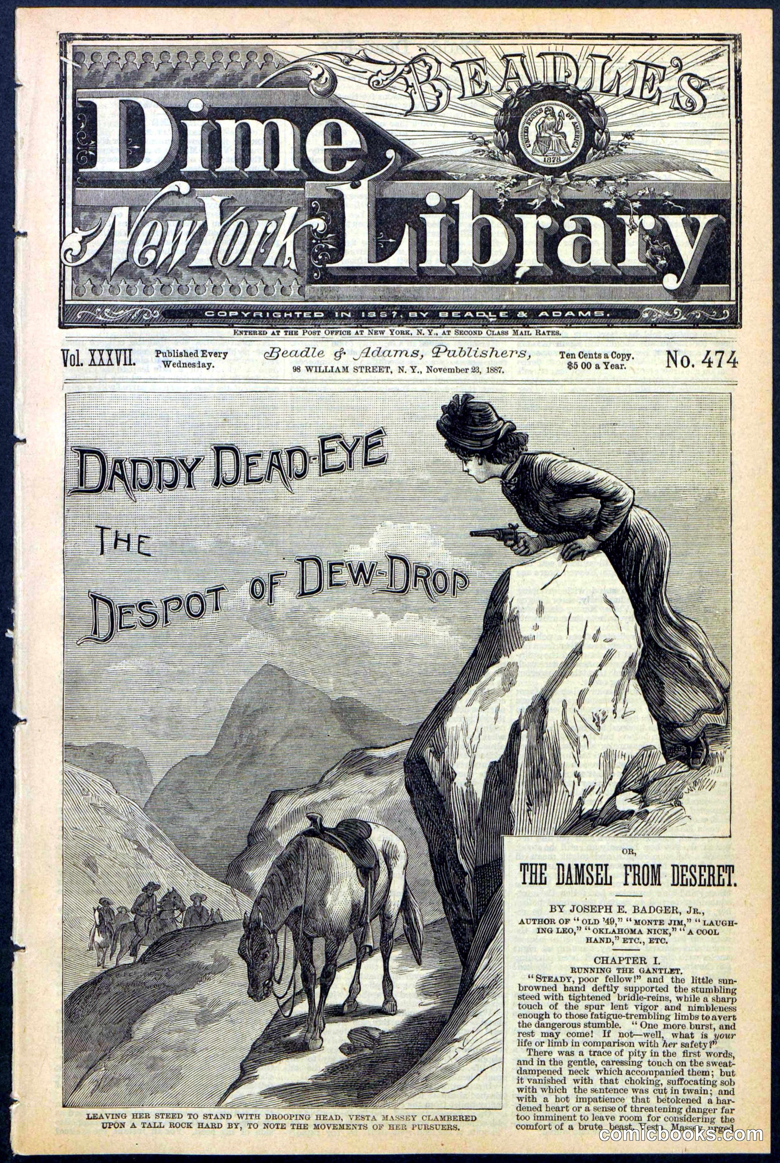 Beadle's New York Dime Library No. 474