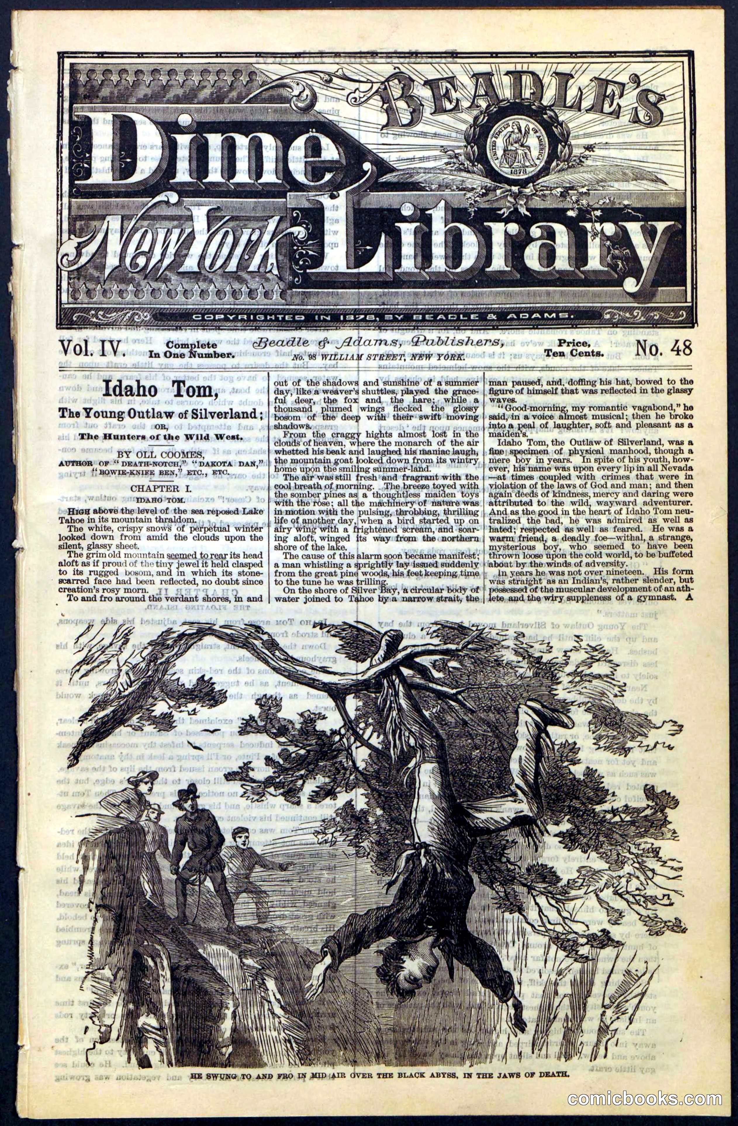 Beadle's New York Dime Library, No. 48