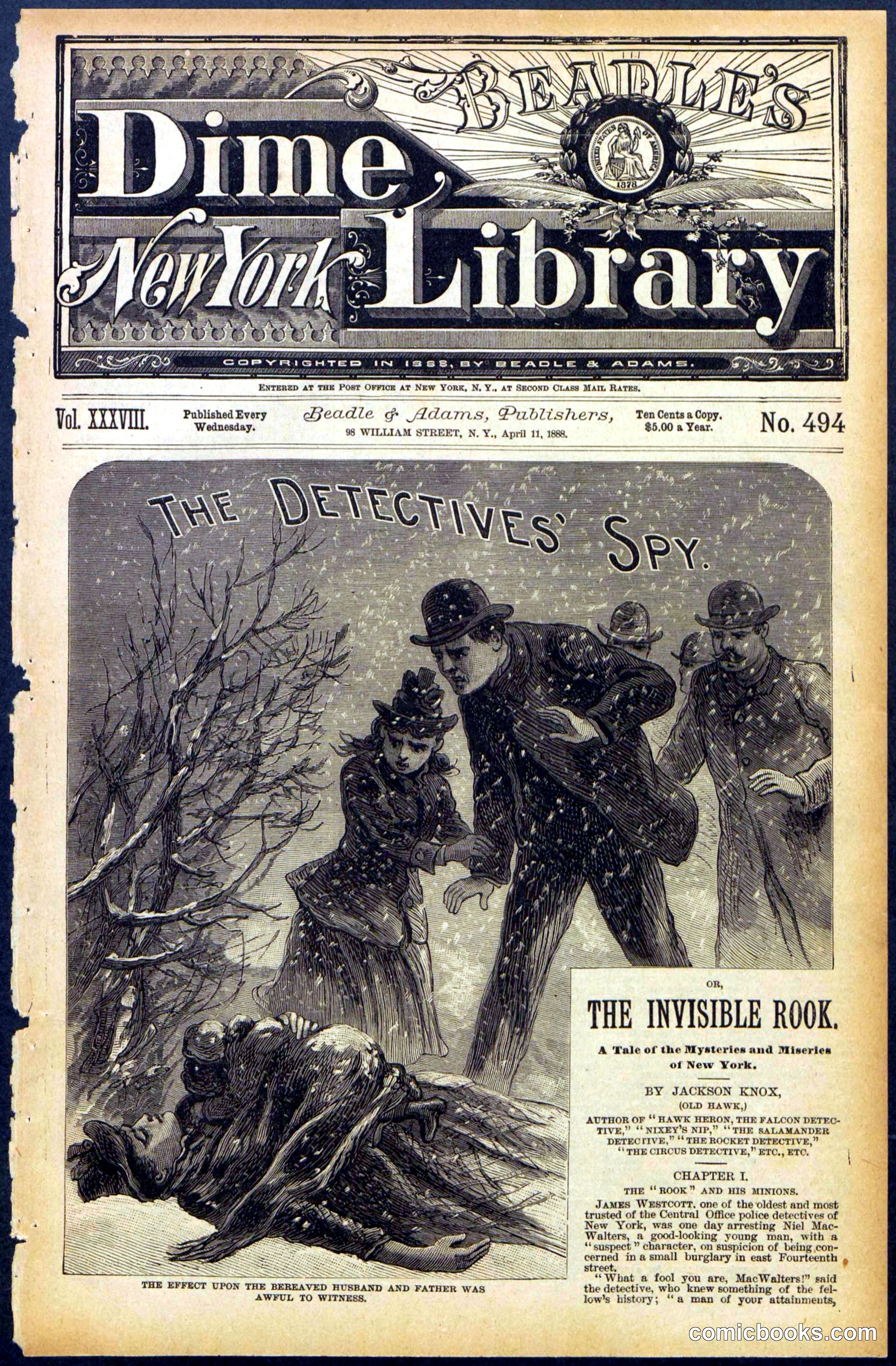 Beadle's Dime Library, No. 494