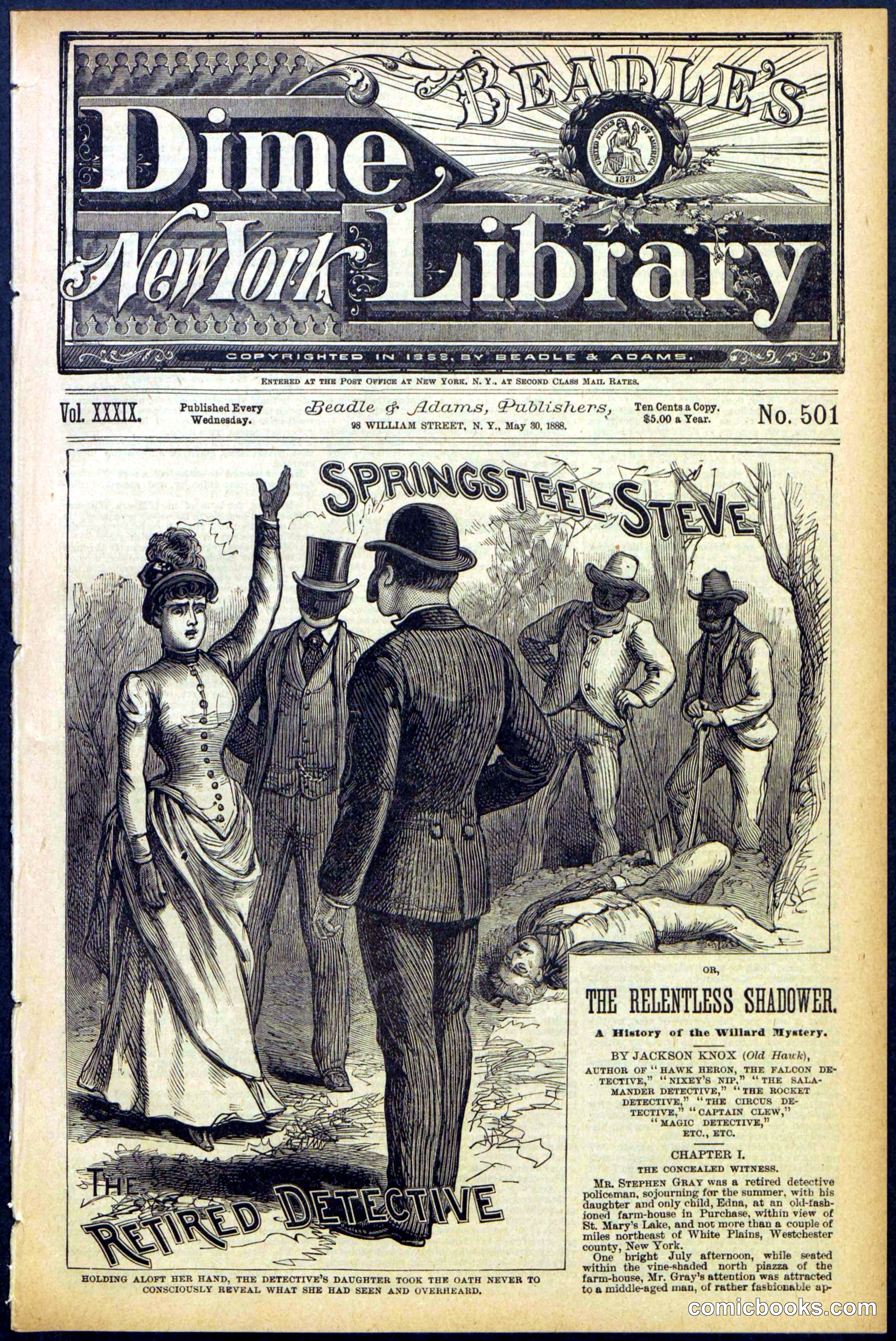 Beadle's New York Dime Library No. 501