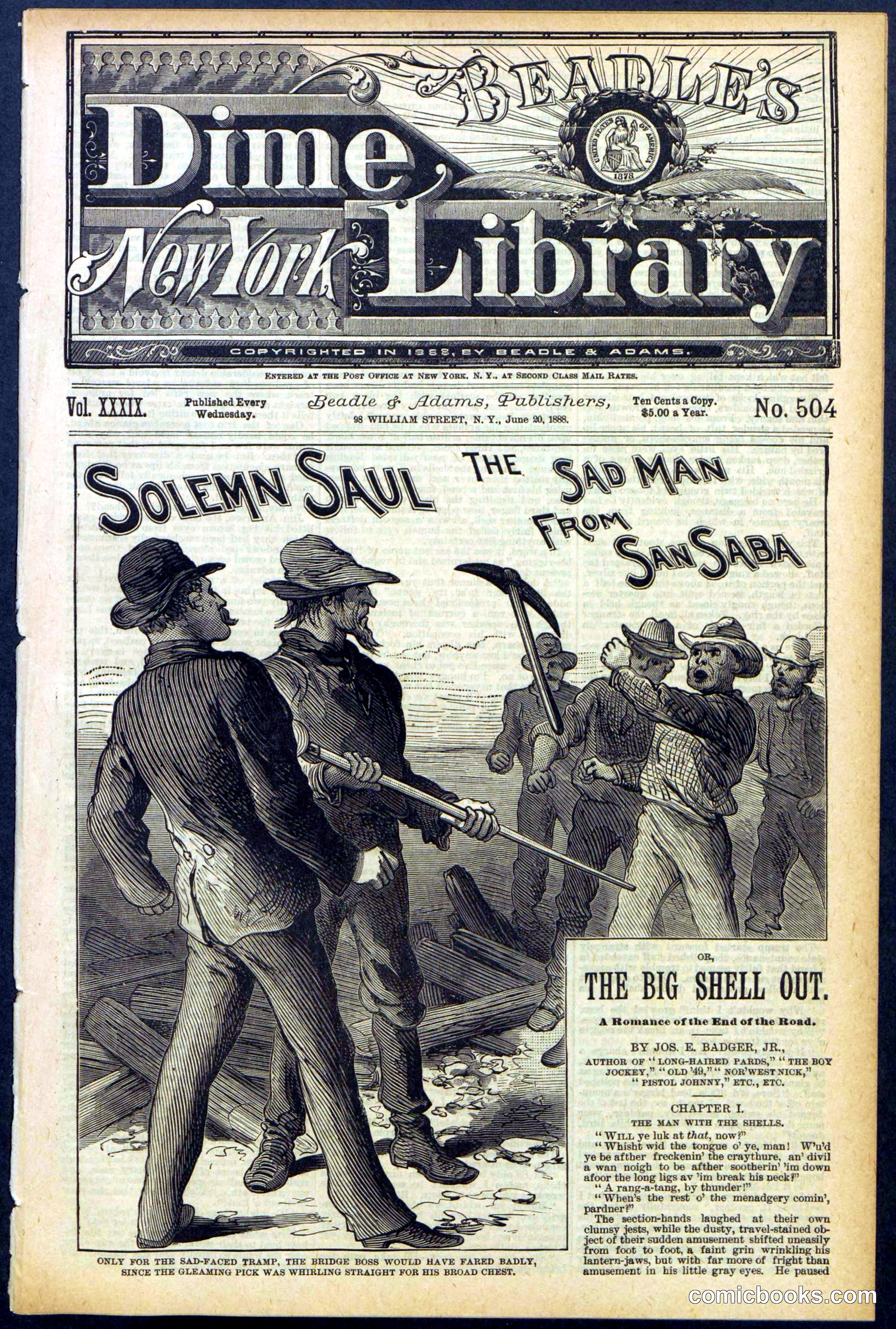 Beadle's New York Dime Library No. 504