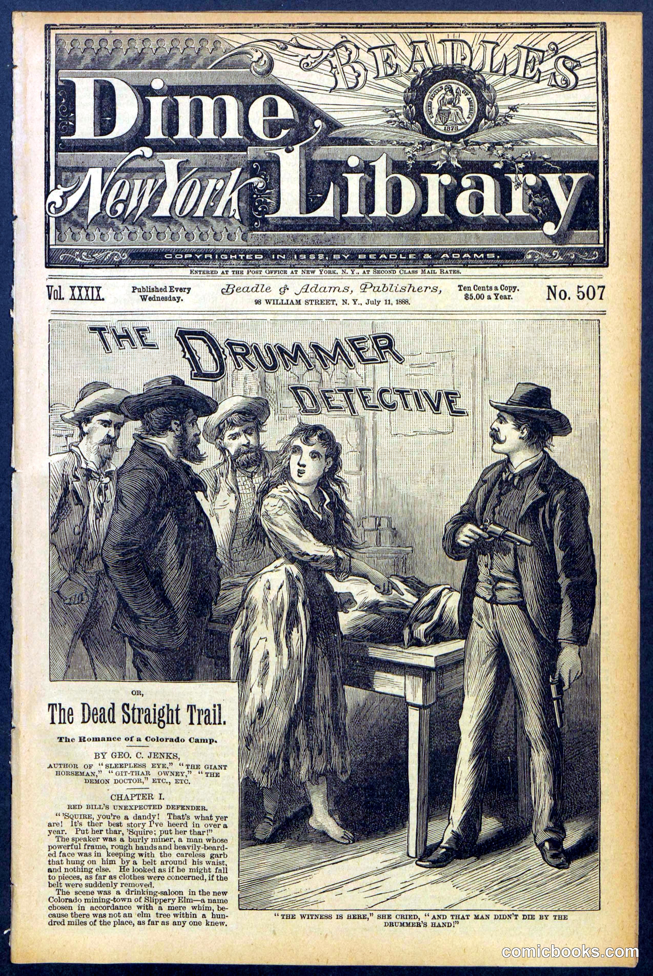 Beadle's Dime Library No. 507