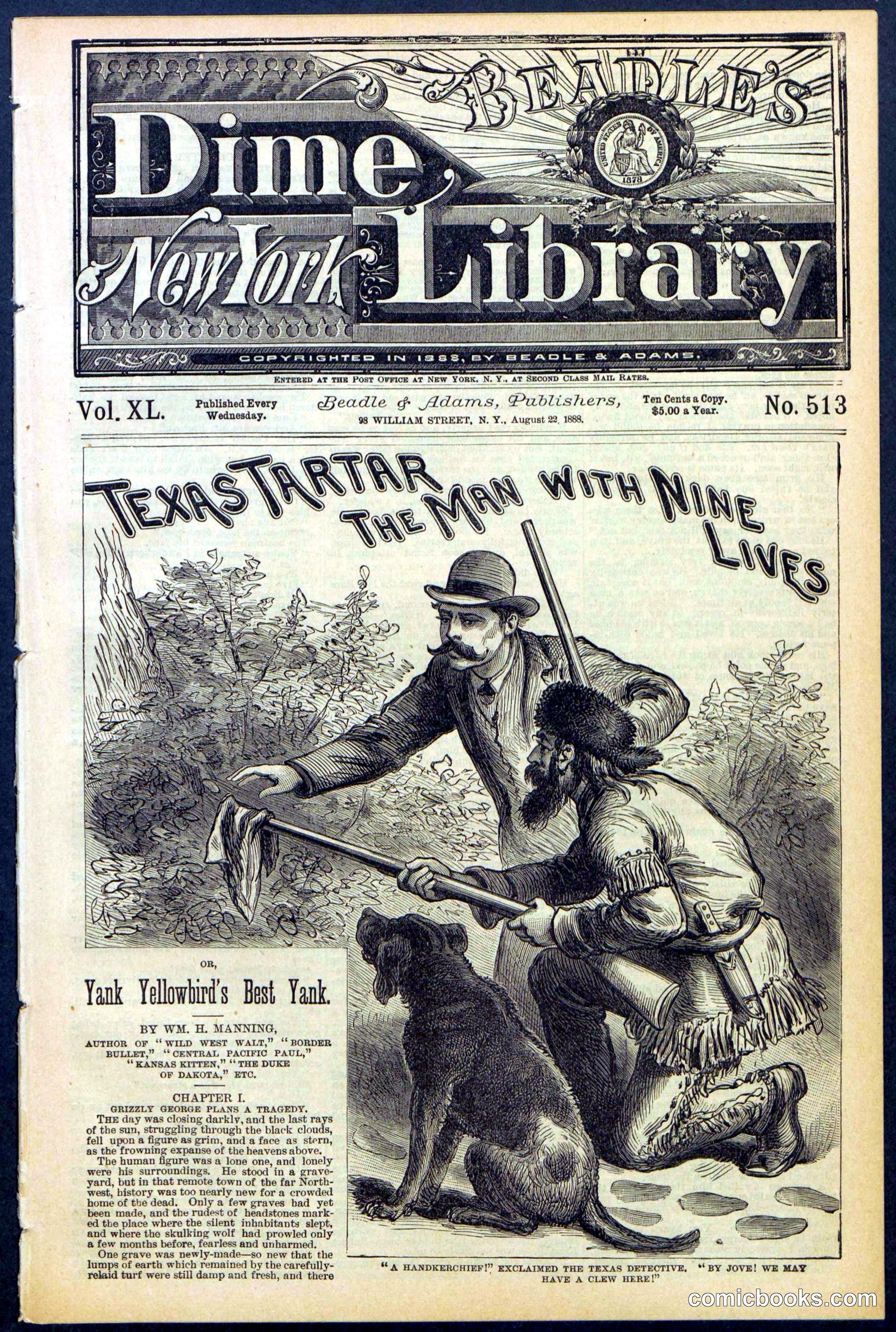 Beadle's New York Dime Library No. 513