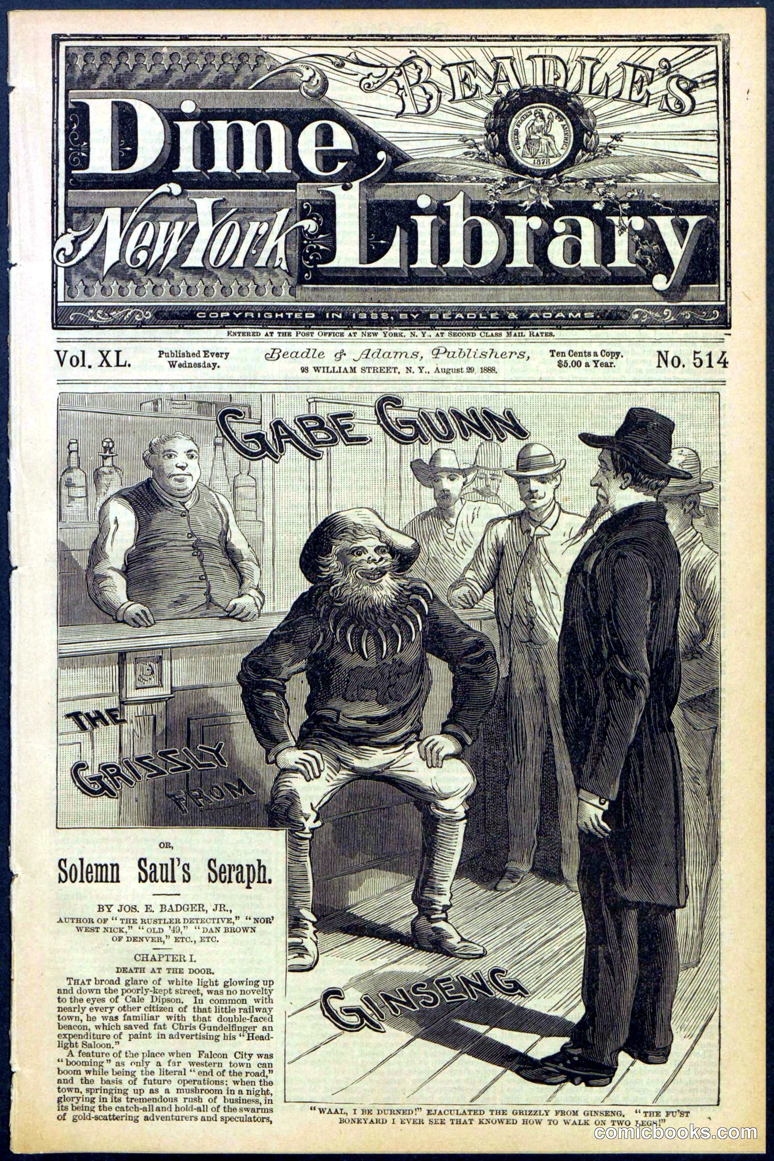 Beadle's New York Dime Library, No. 514