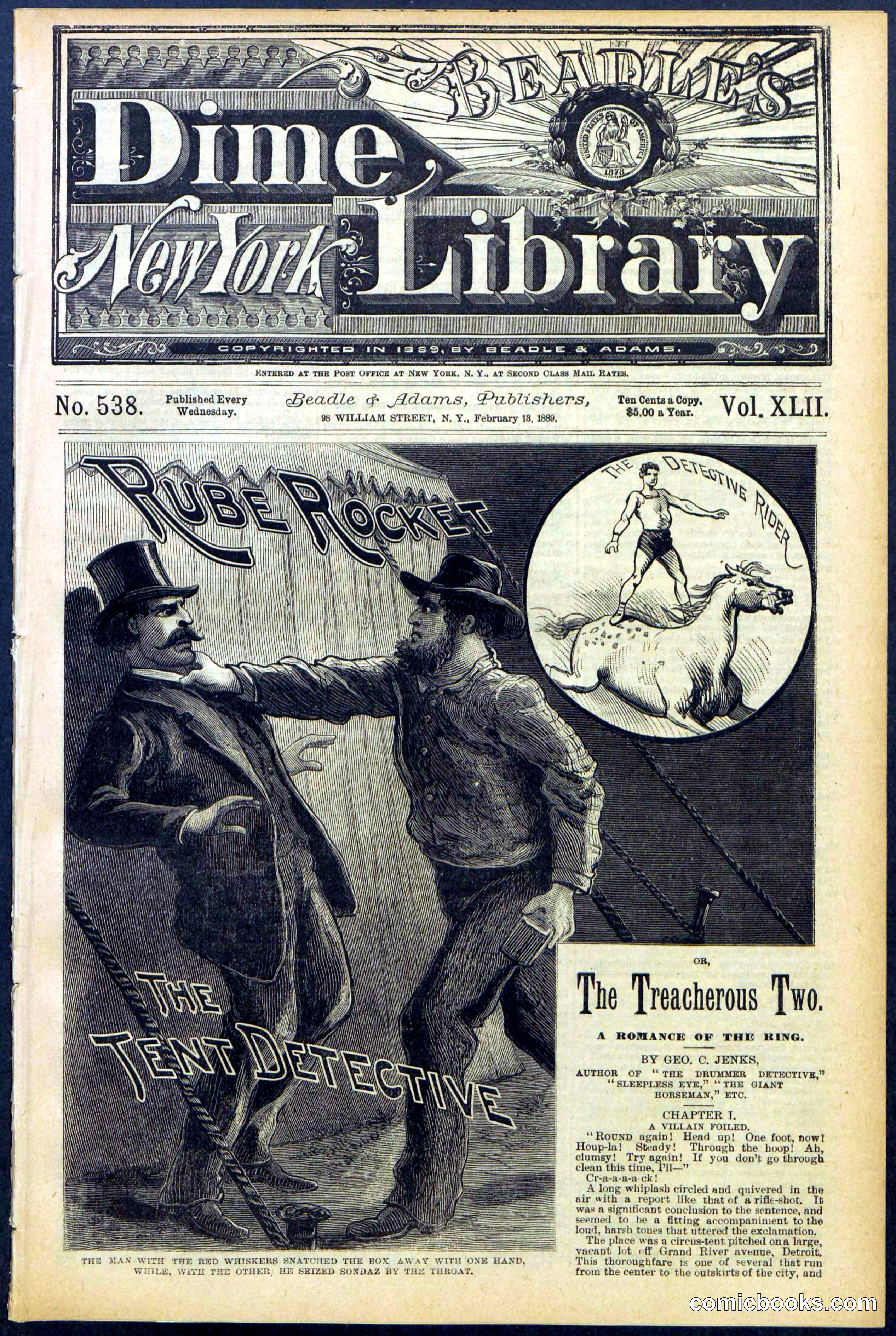 Beadle's New York Dime Library No. 538