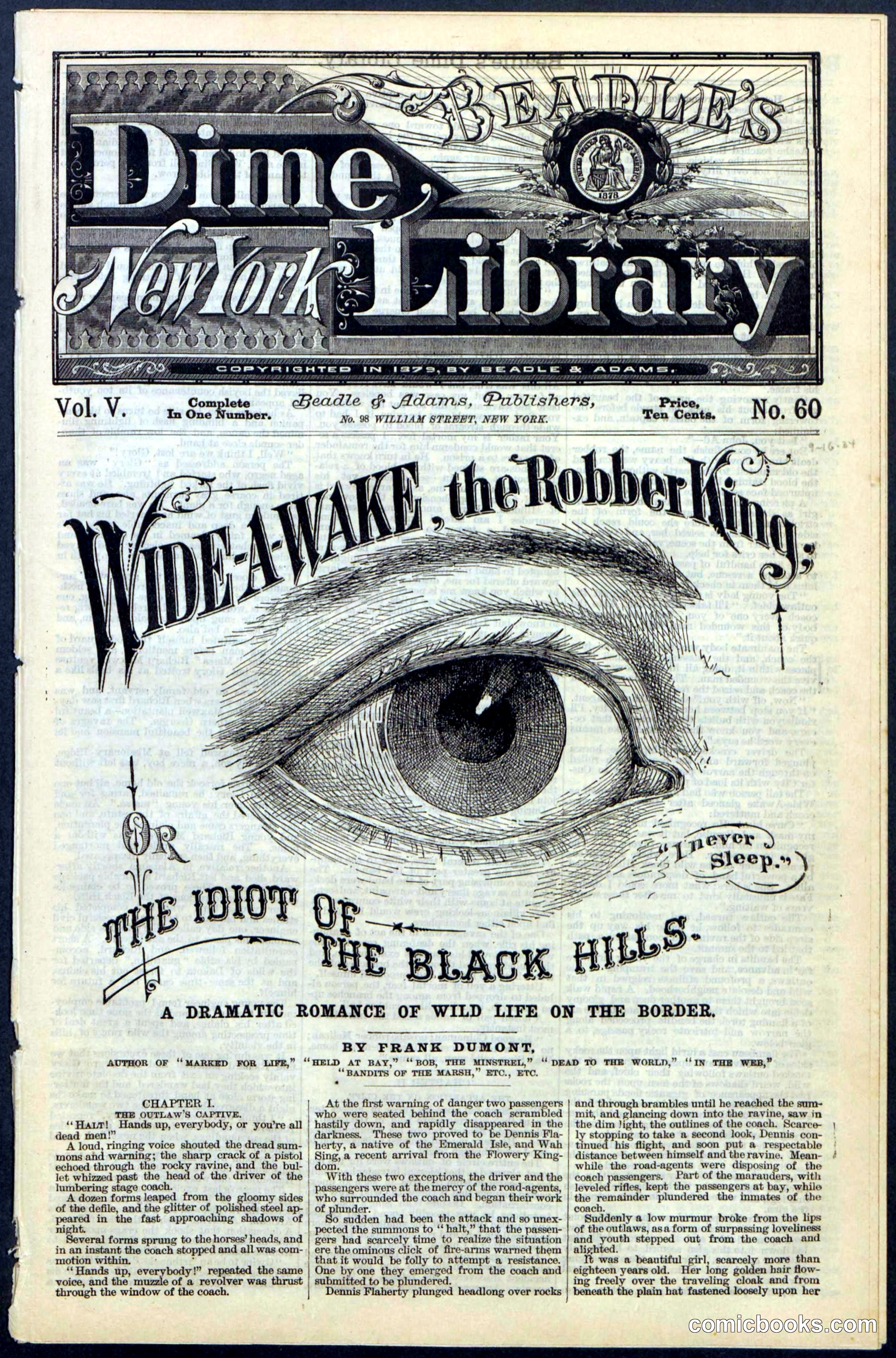 Beadle's New York Dime Library, No. 60