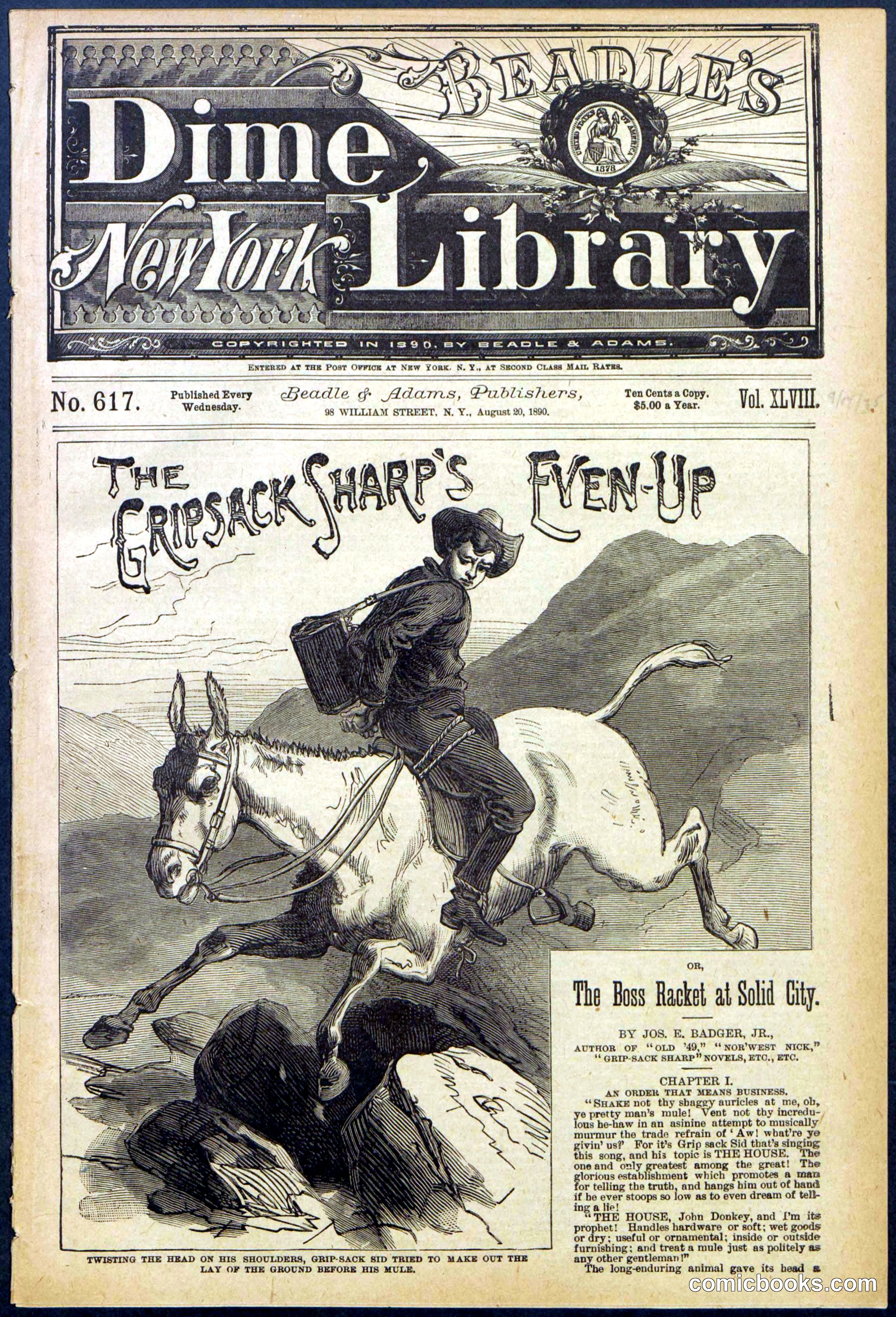 Beadle's New York Dime Library No. 617